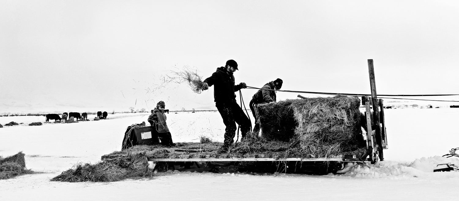 A Ranch Life in Sublette County, Wyoming.