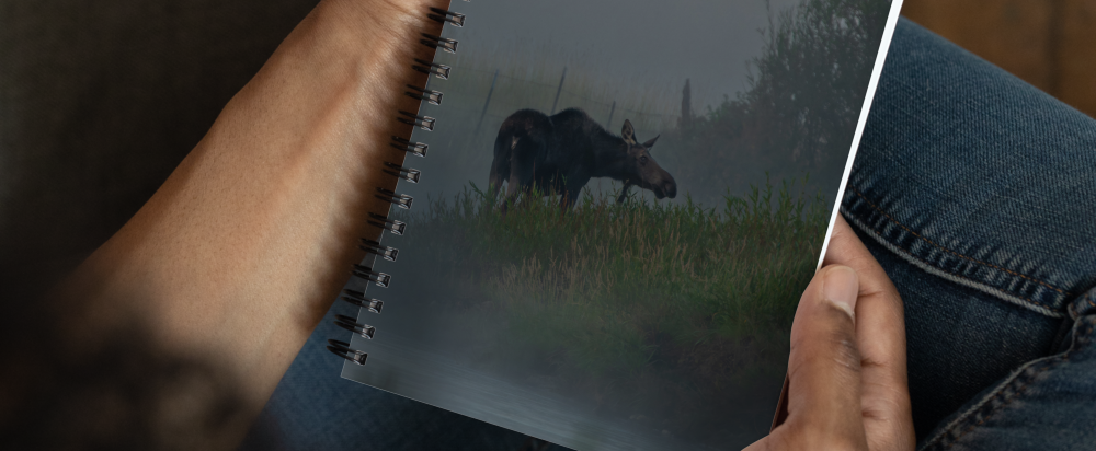 Fall Collection Notebooks