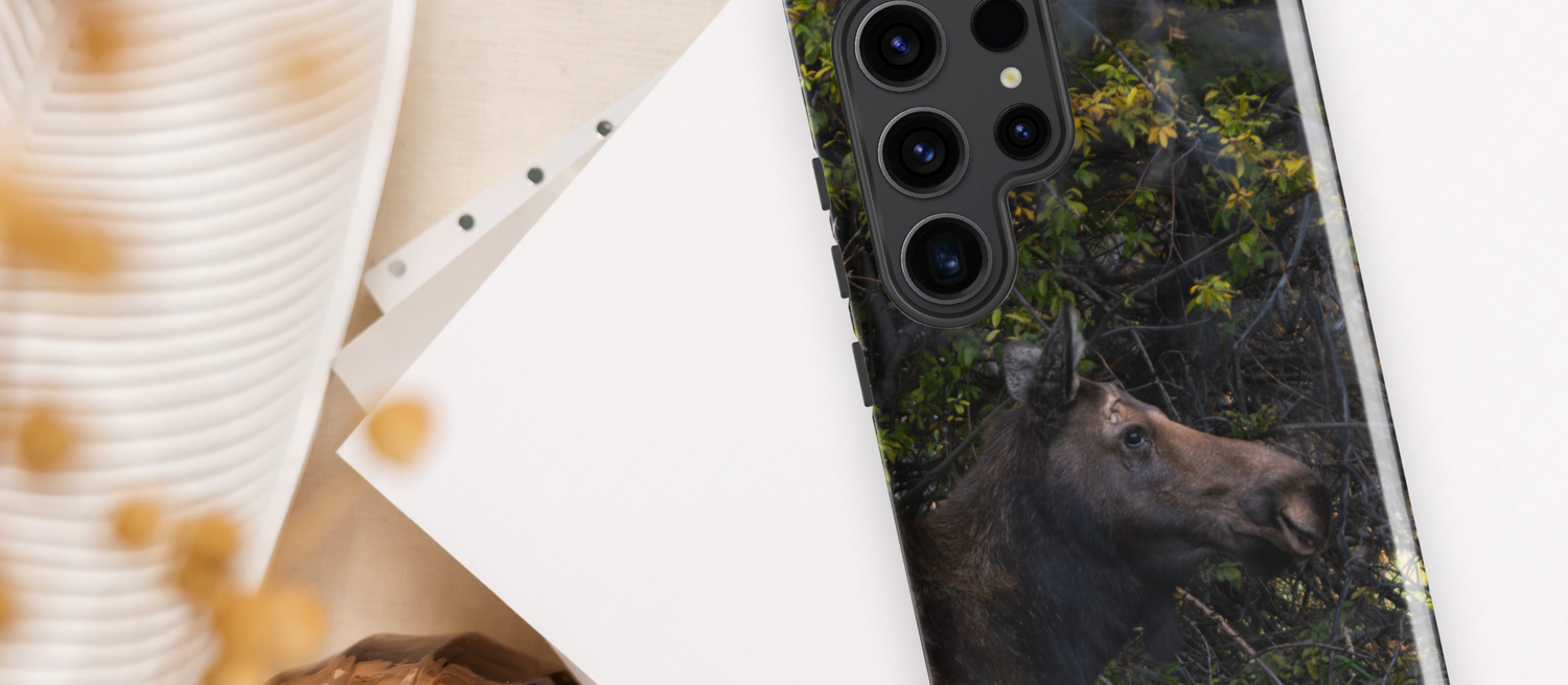 Fall Collection Though Samsung Case