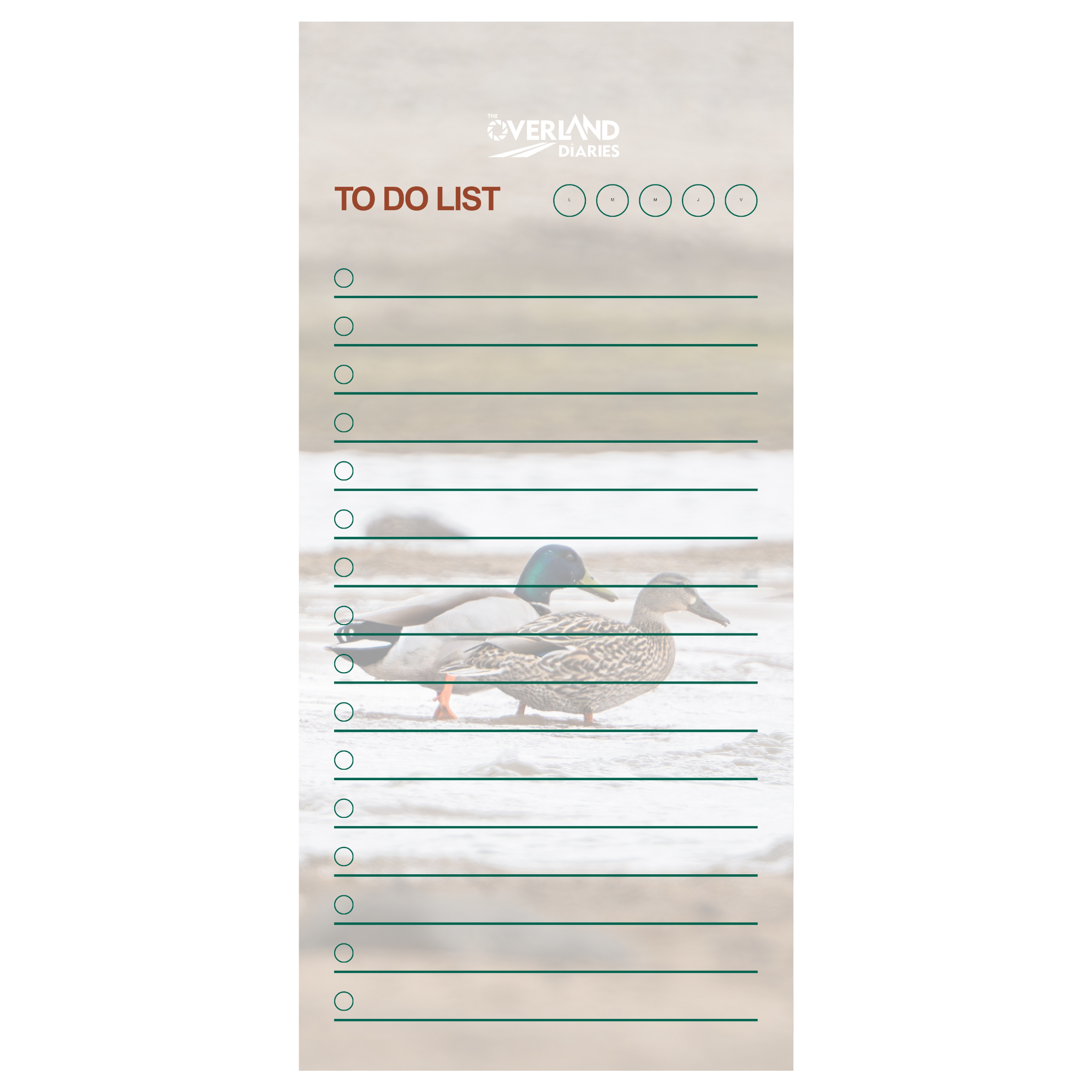 Mallard Moments Notepad · Wyoming Spring