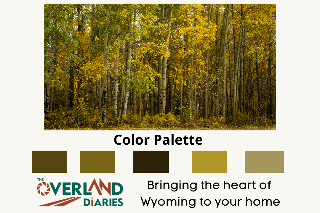 Yellow Aspens Trees in the Fall Home Decor Wall Art