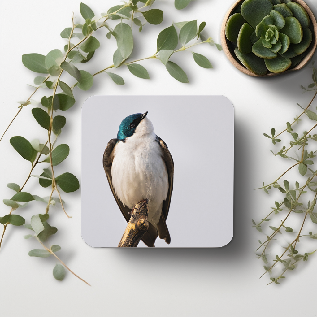 Tree Swallow Cork-back coaster