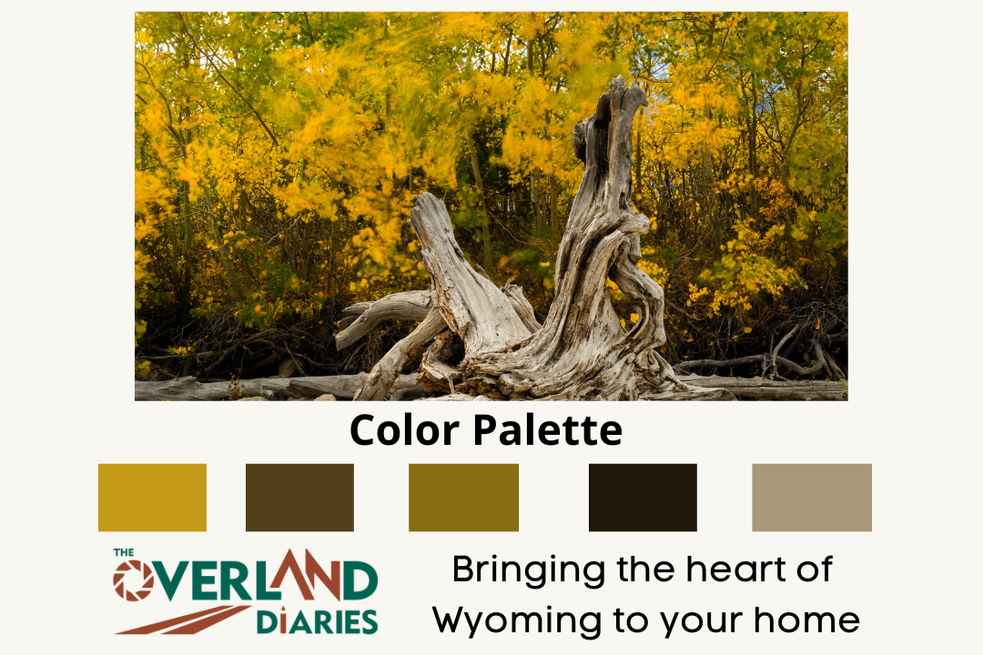 Wyoming Fall Scenery Home Decor Wall Art