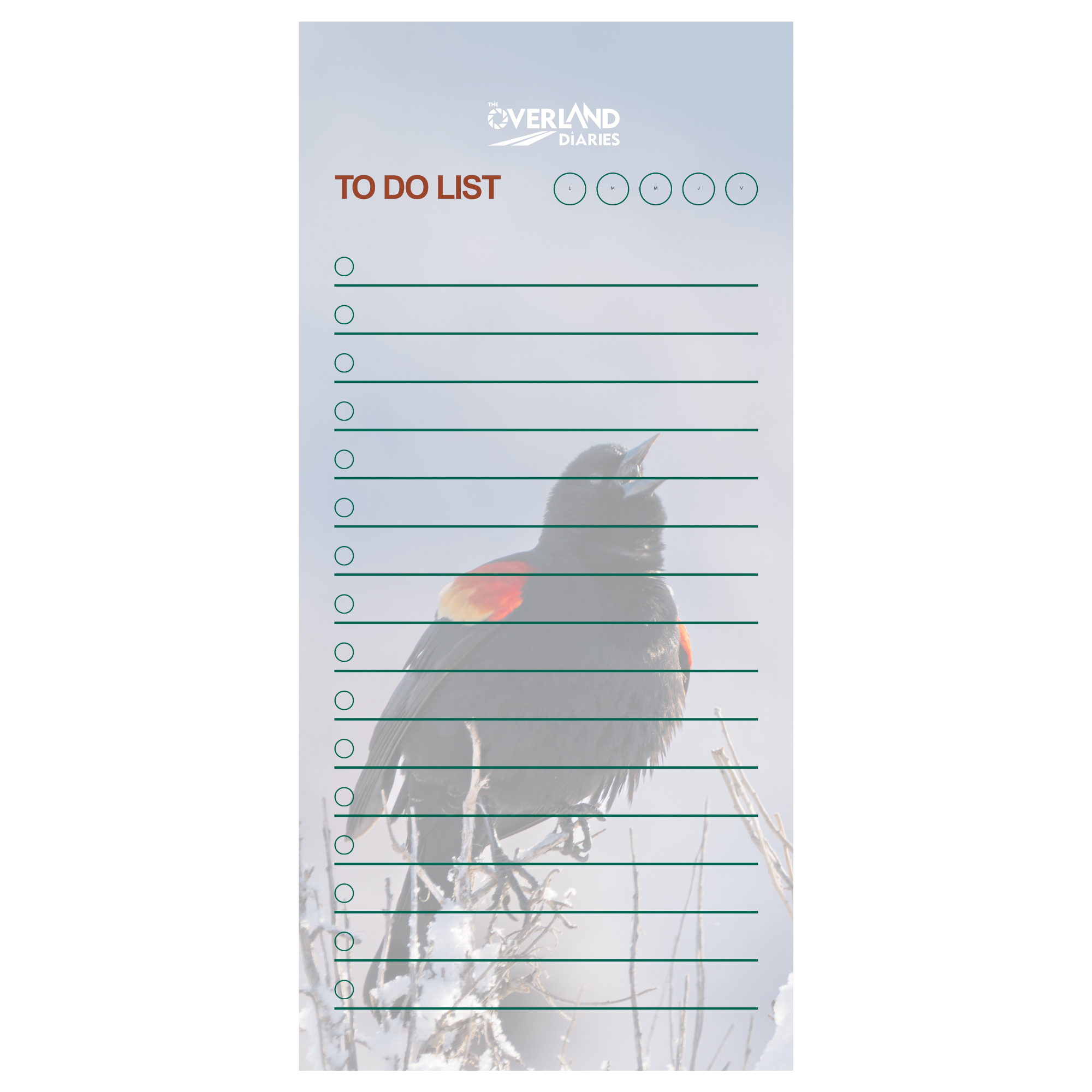 First Song of Spring Notepad · Red-Winged Blackbird
