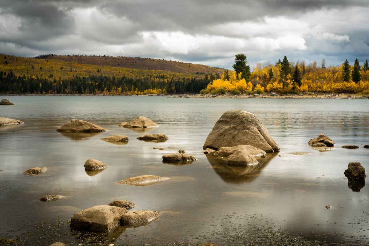 New Fork Lake, Wyoming in the Fall Home Decor Wall Art