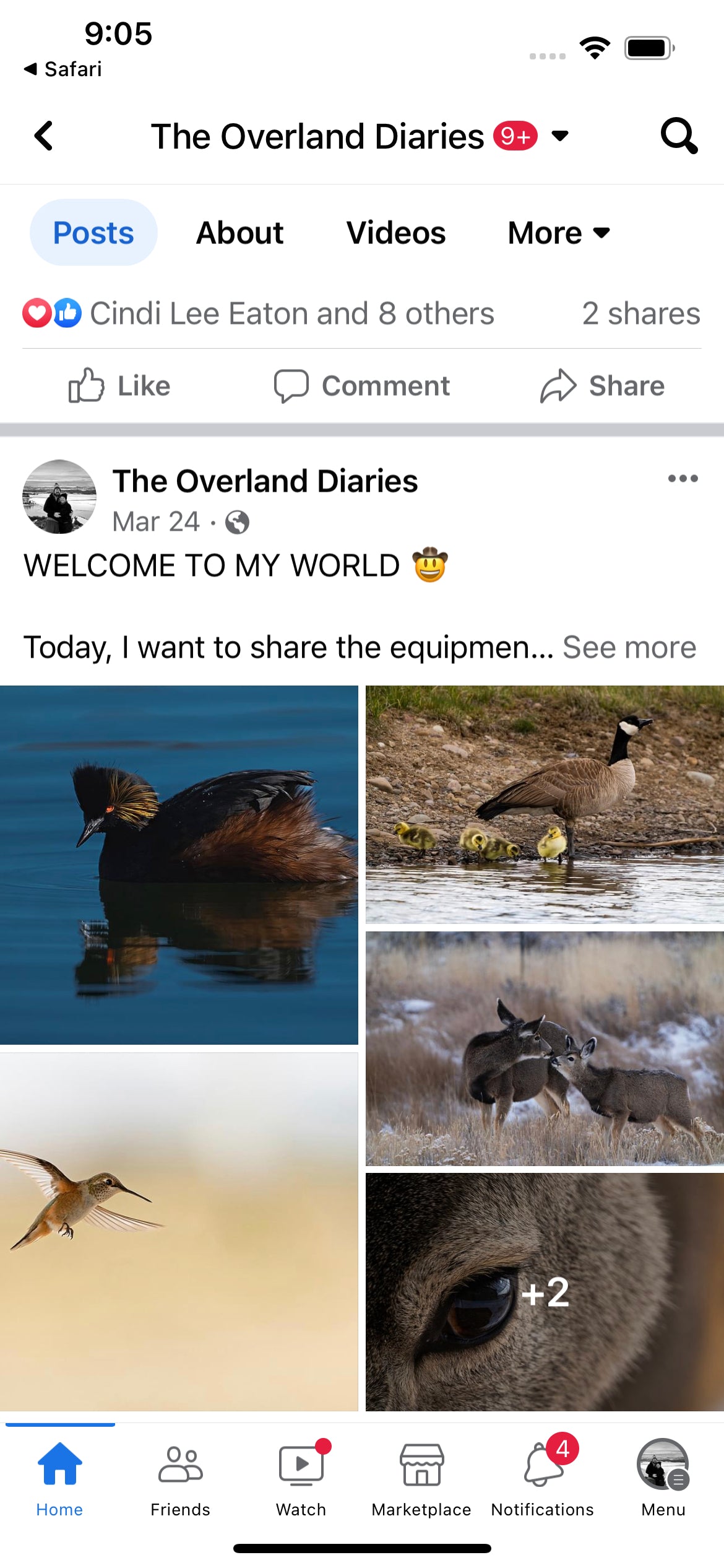 wyoming_wildlife_photographer
