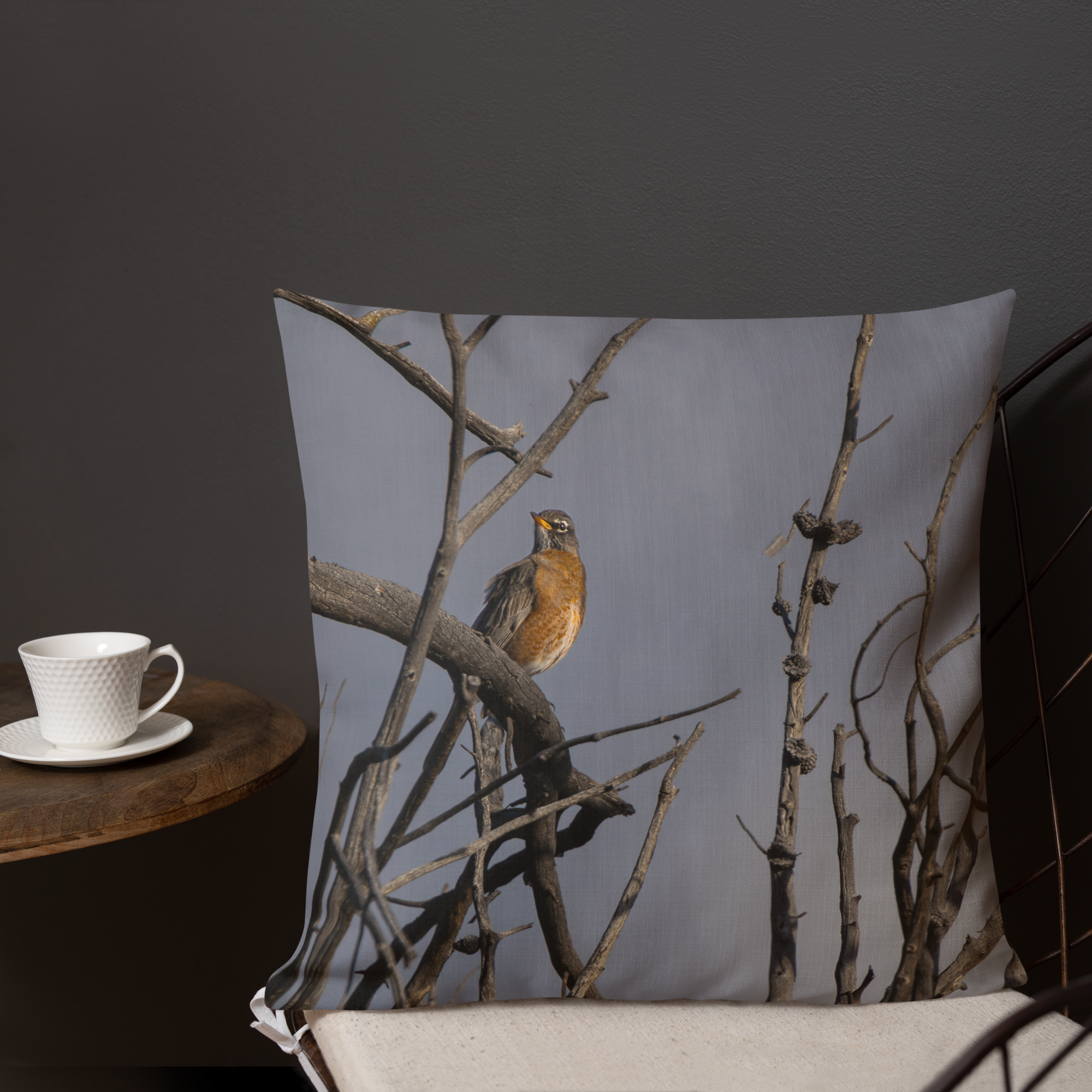 Robin Premium Pillow