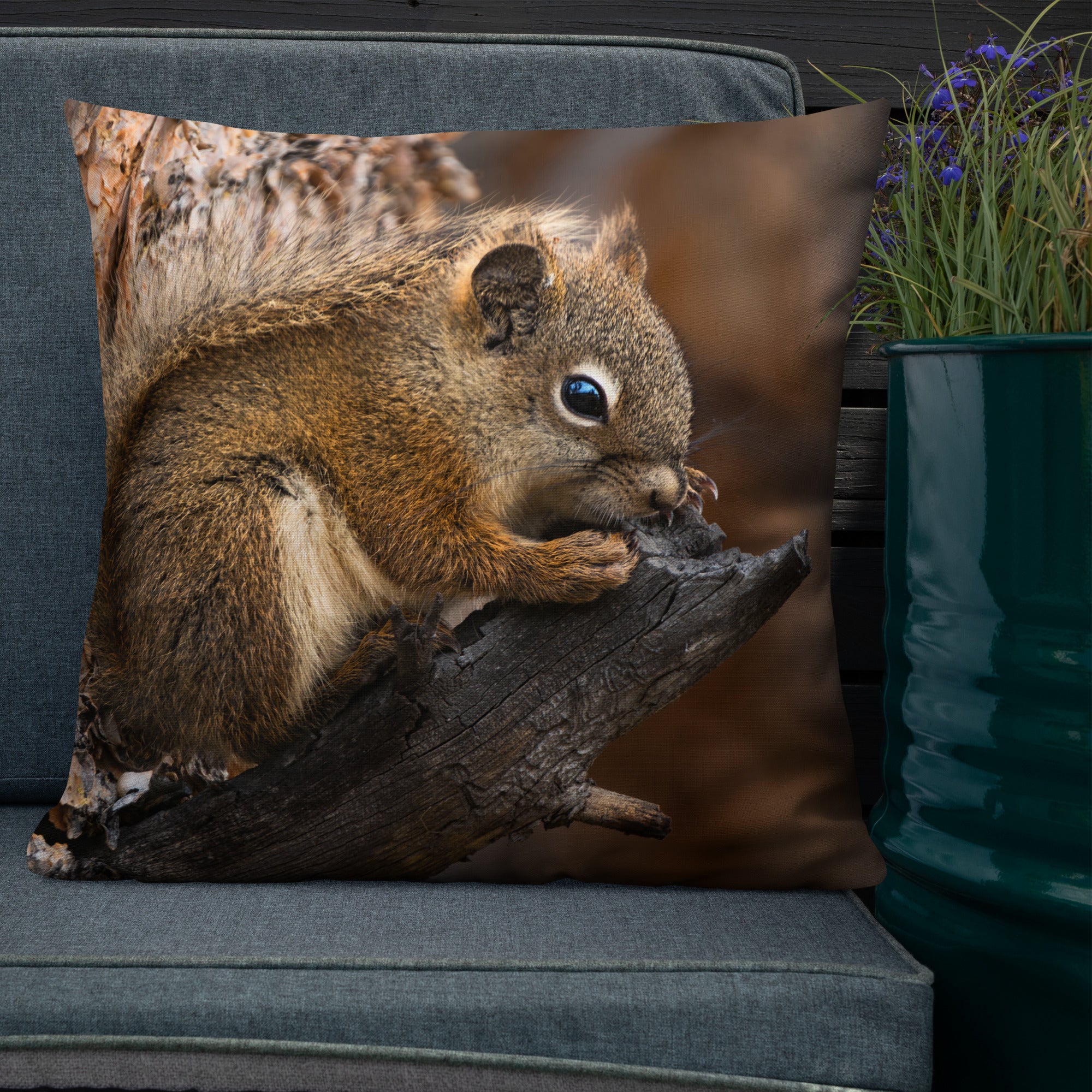 Squirrel Premium Pillow
