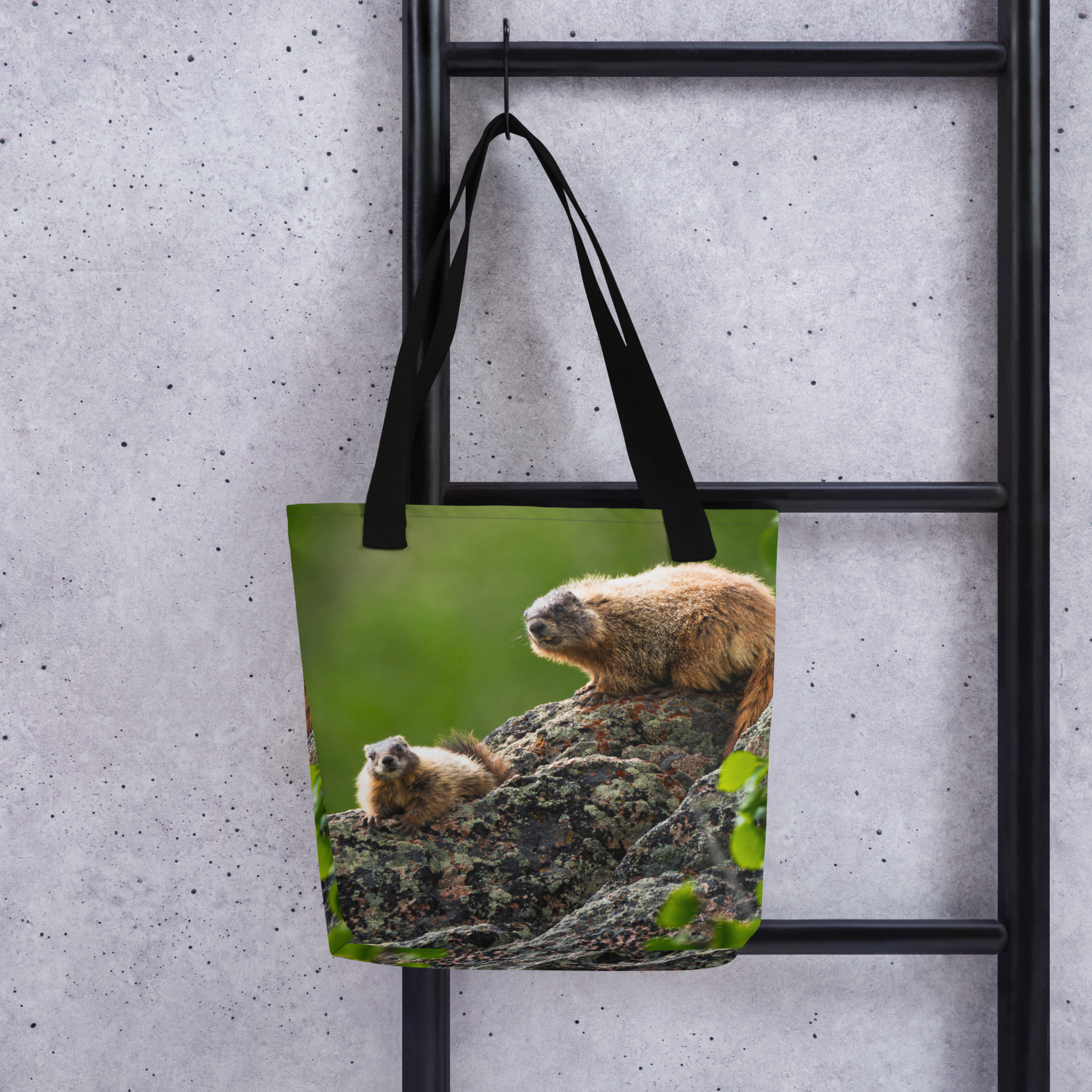 Marmot Tote bag