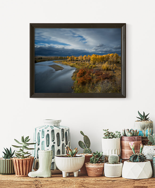 The Cottonwood’s Prayer