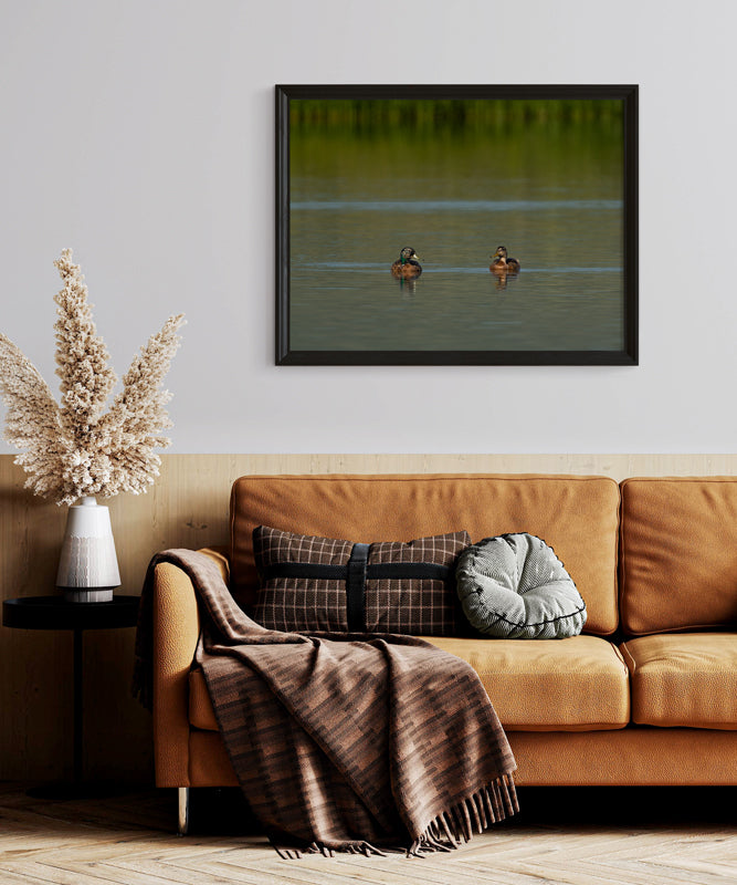 Duck Artwork