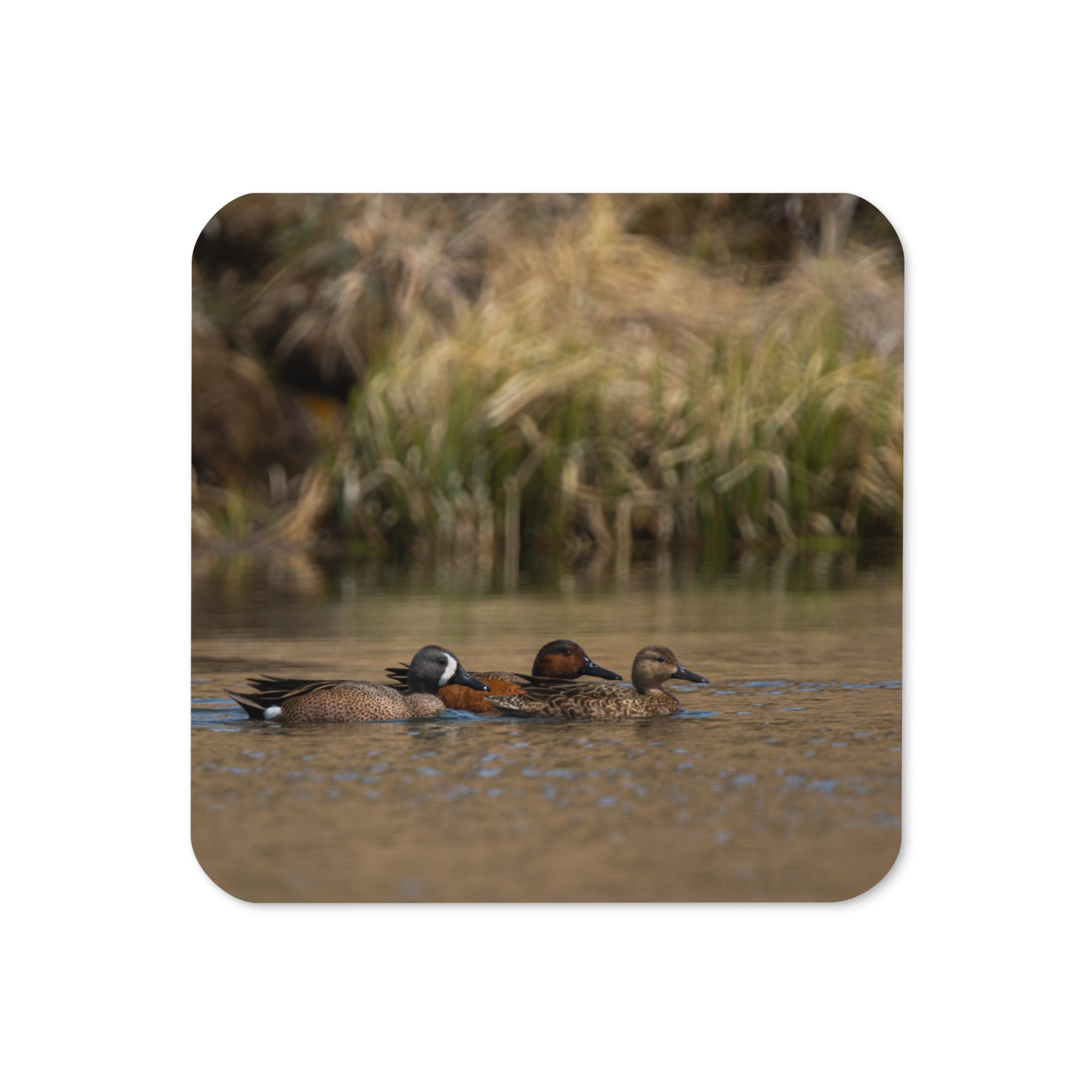 Ducks Cork-back coaster