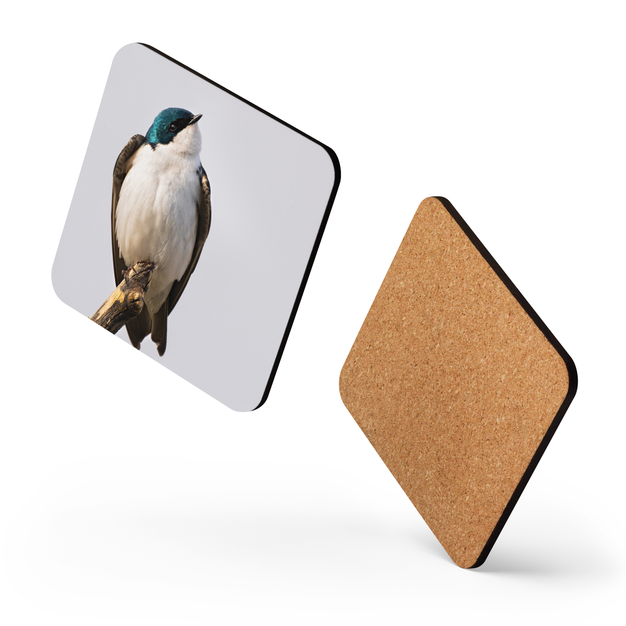 Tree Swallow Cork-back coaster
