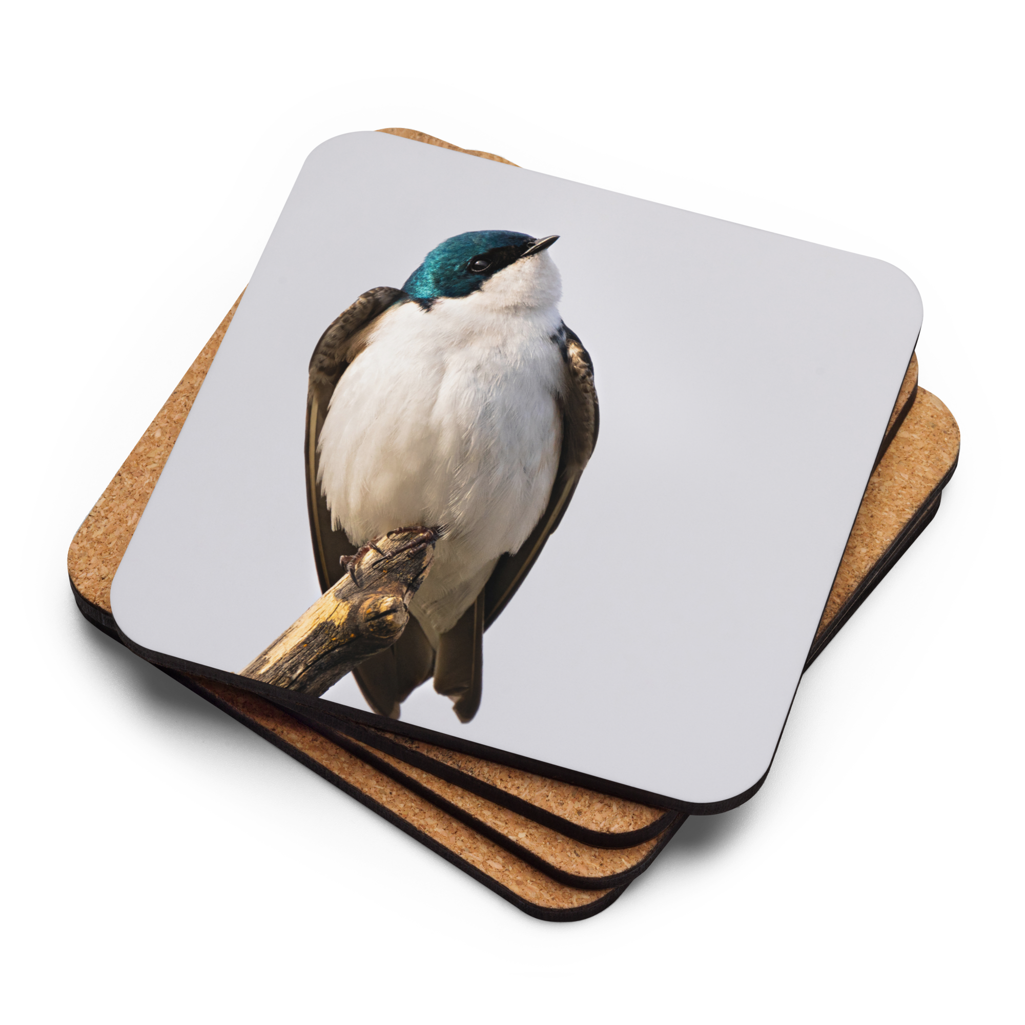 Tree Swallow Cork-back coaster