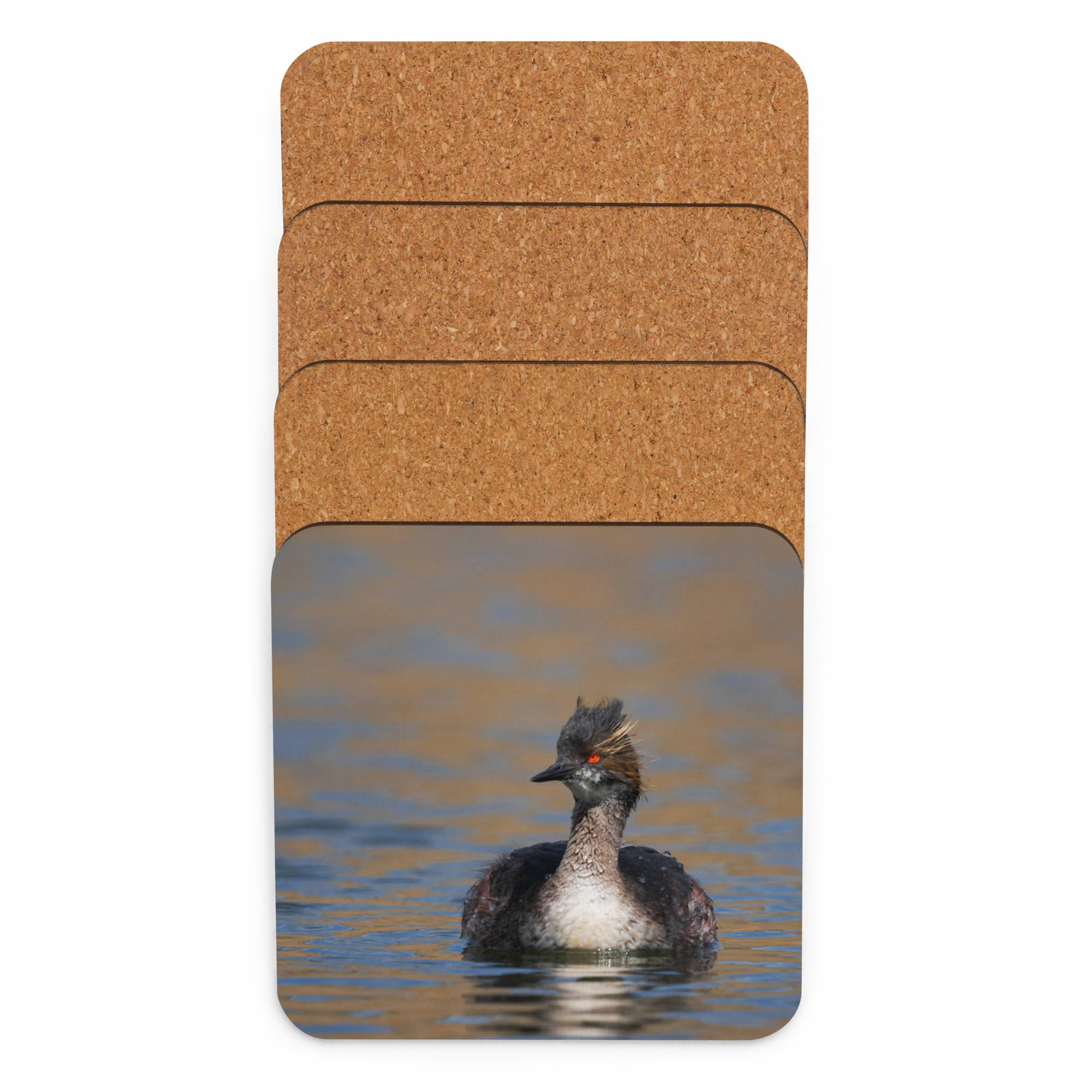Eared Grebe Cork-back coaster