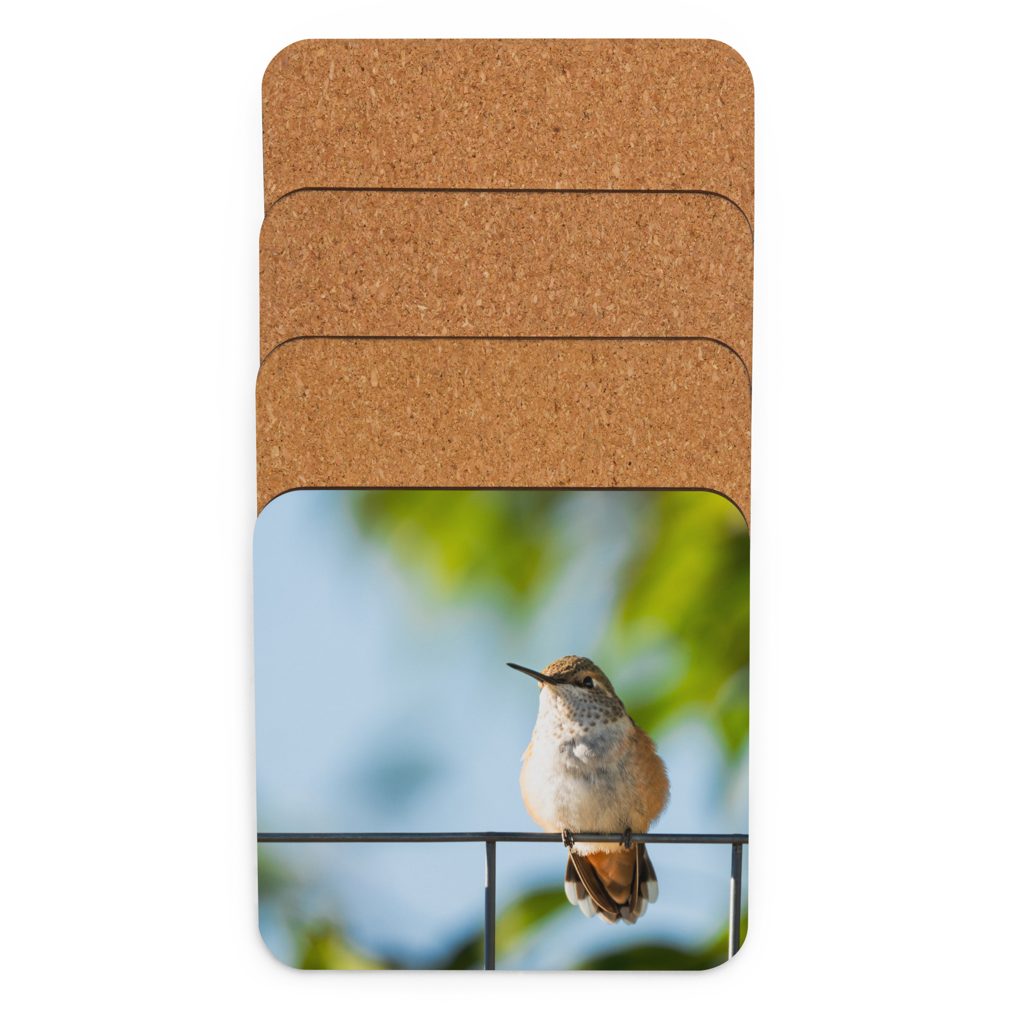Hummingbird Cork-back coaster