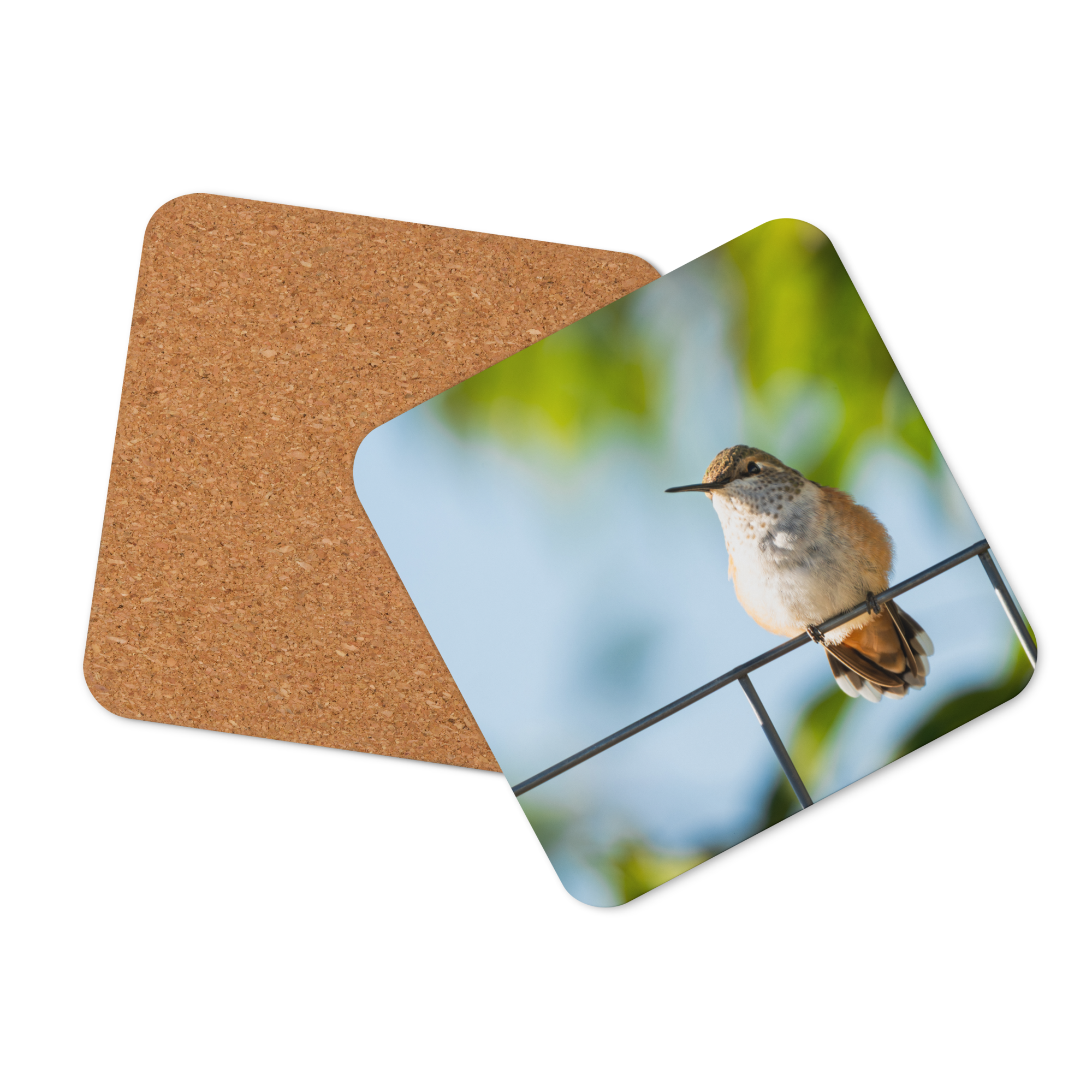 Hummingbird Cork-back coaster