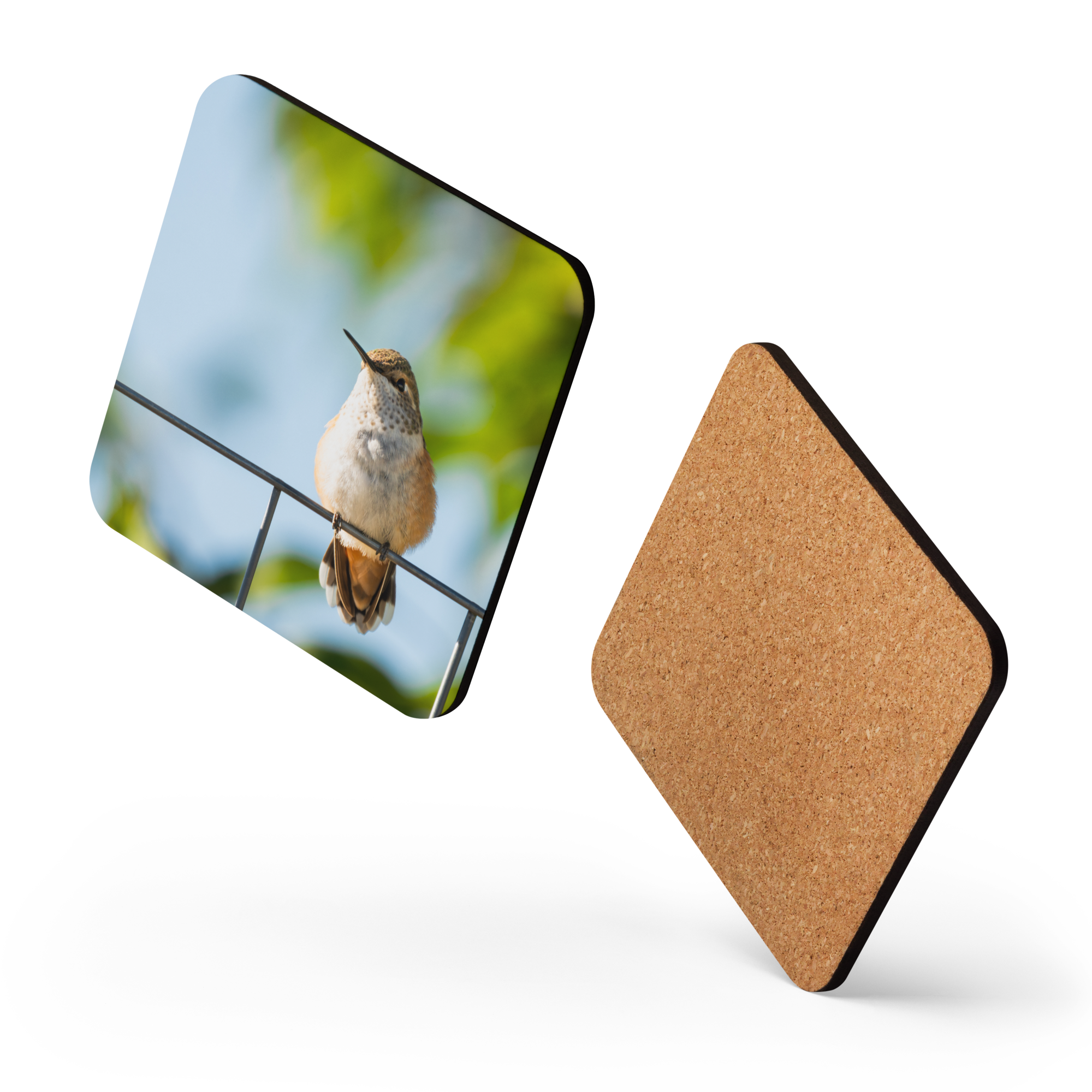 Hummingbird Cork-back coaster