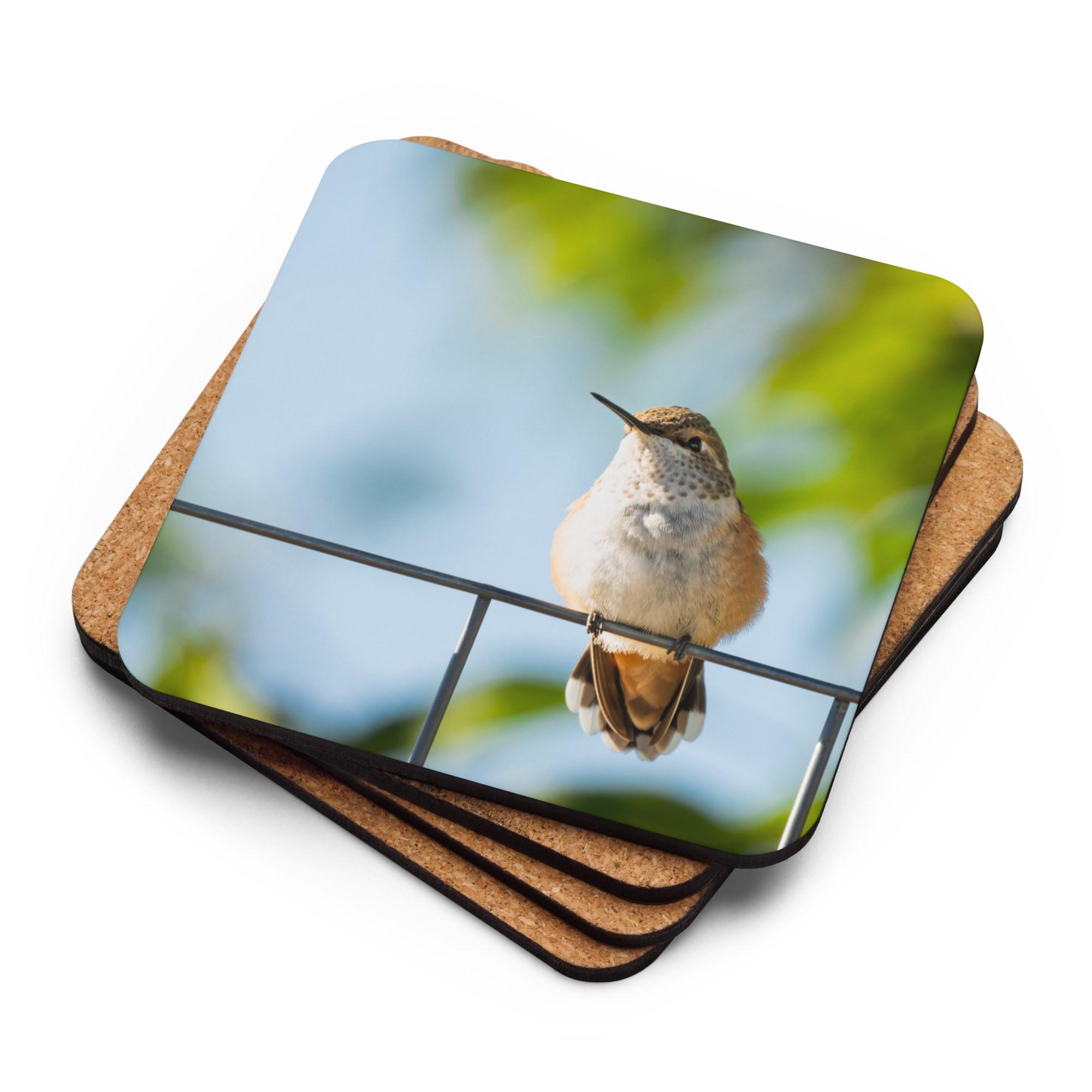 Hummingbird Cork-back coaster