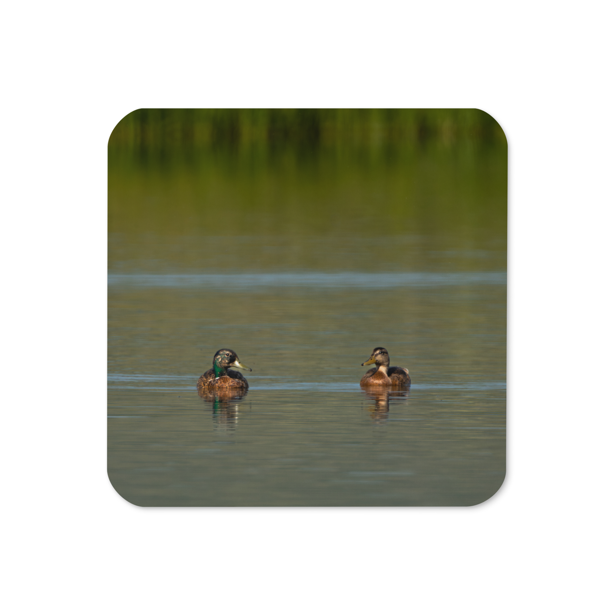 Couple of Ducks Cork-back coaster