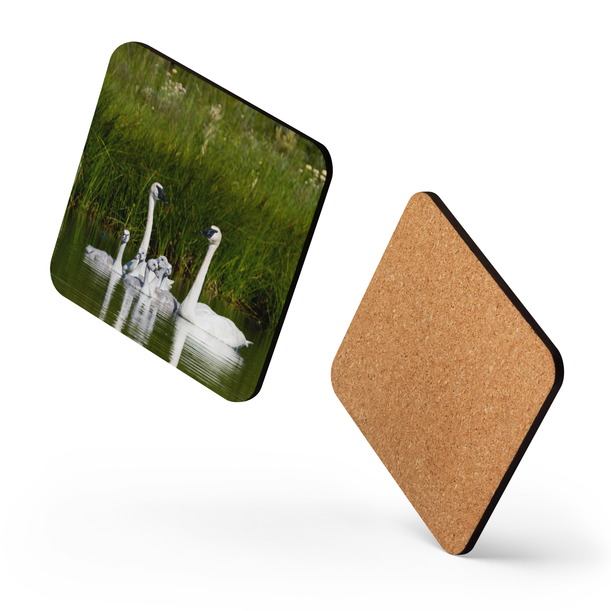Swan Family Cork-back coaster