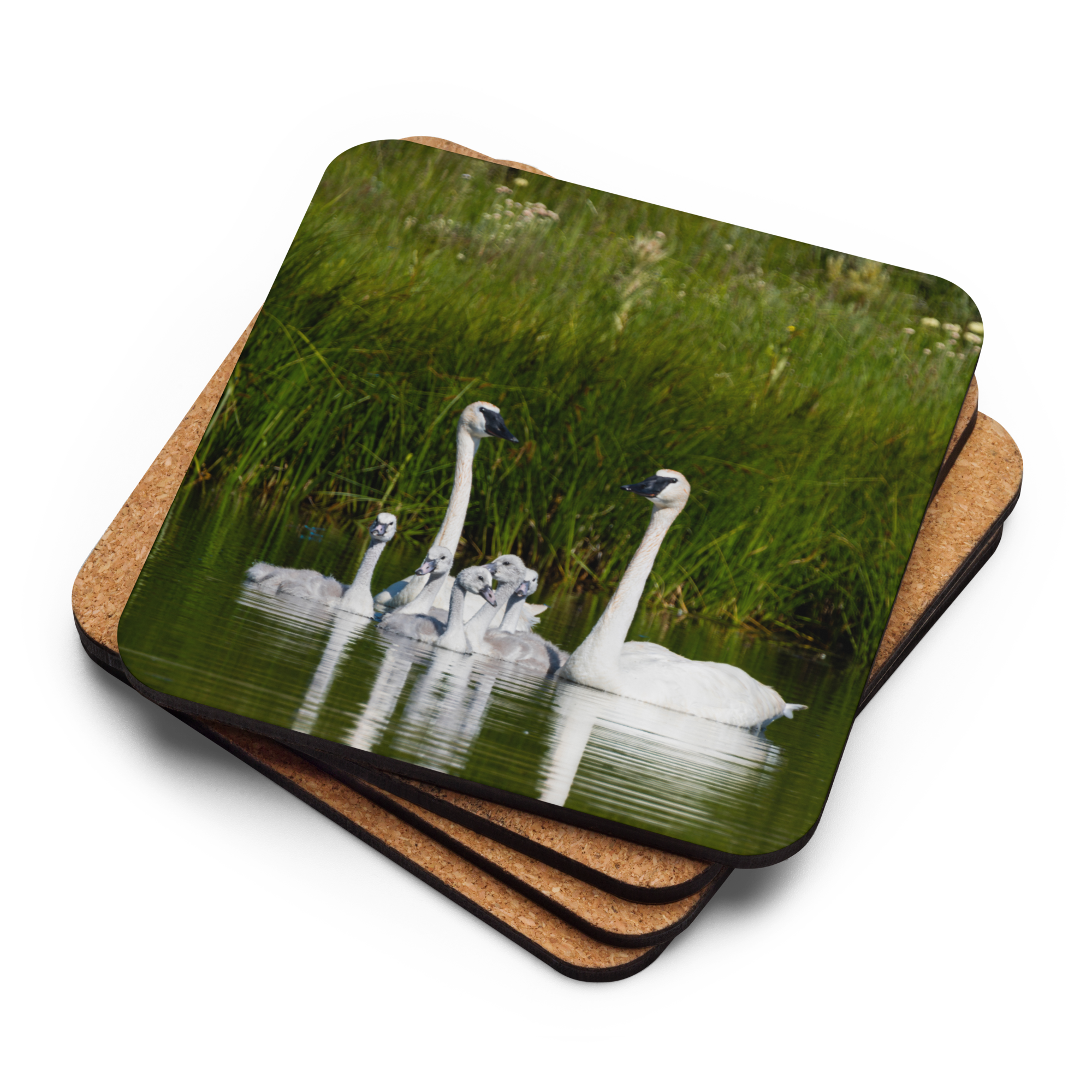 Swan Family Cork-back coaster