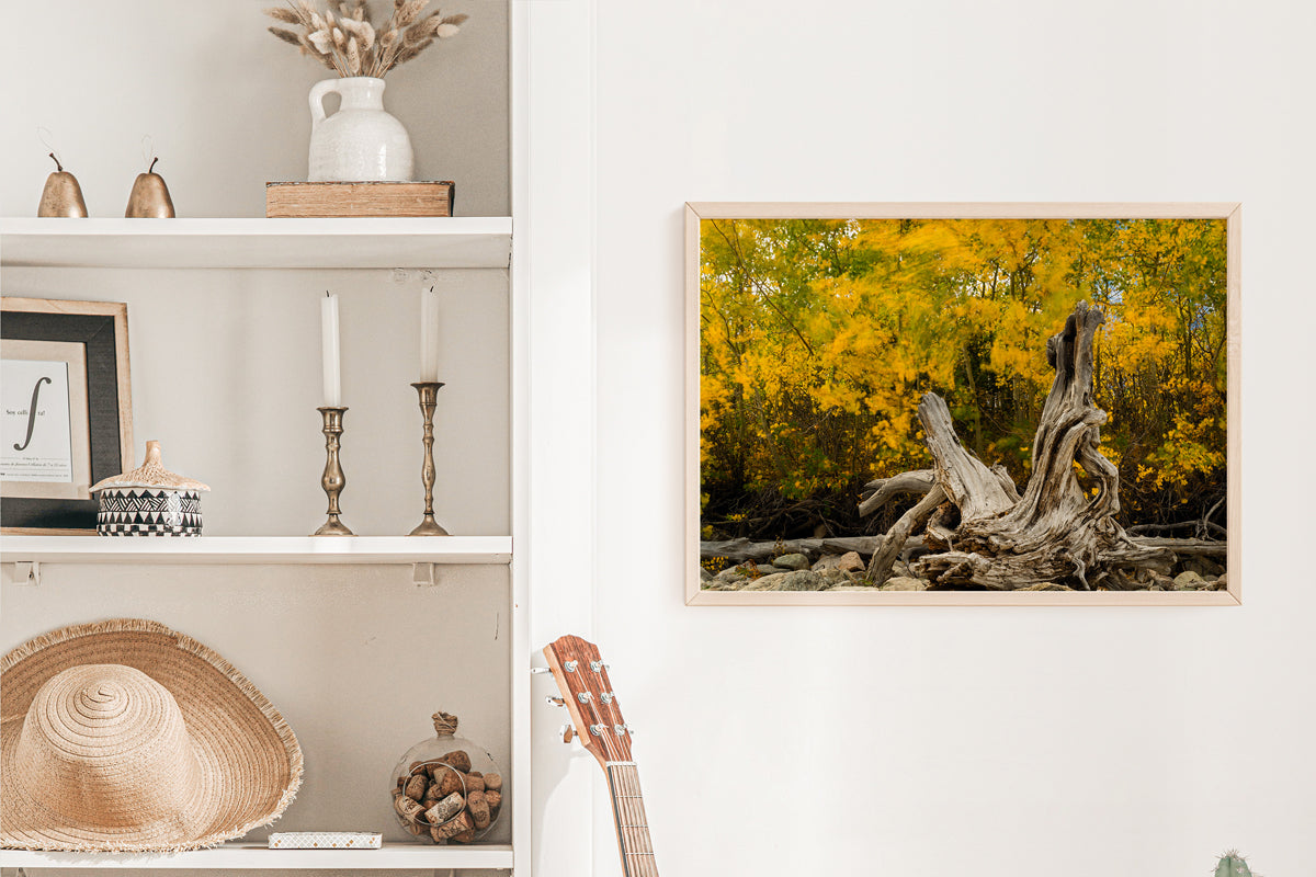 Wyoming Fall Scenery Home Decor Wall Art