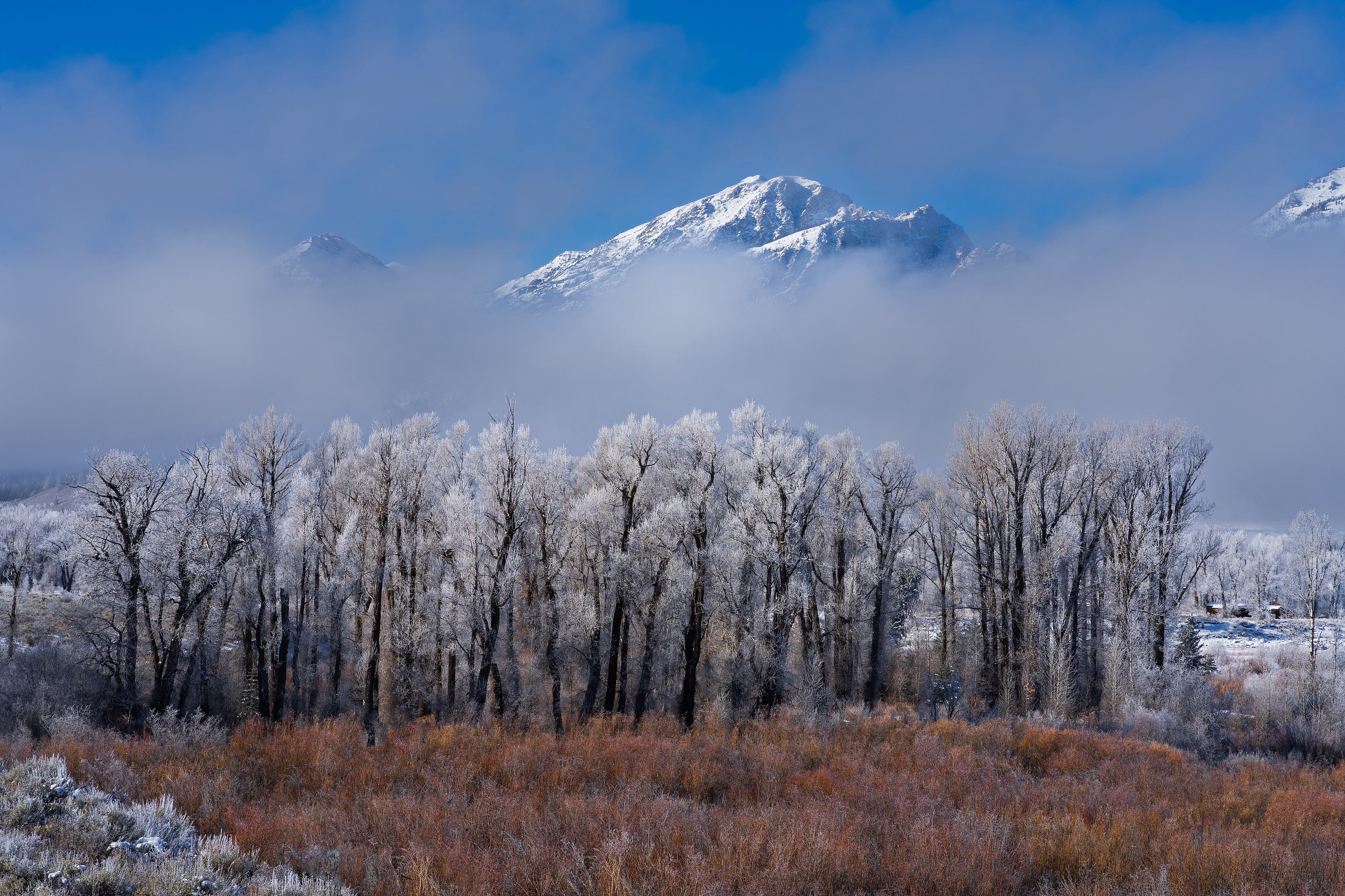 Emerging Majesty: A Winter Teton Morning