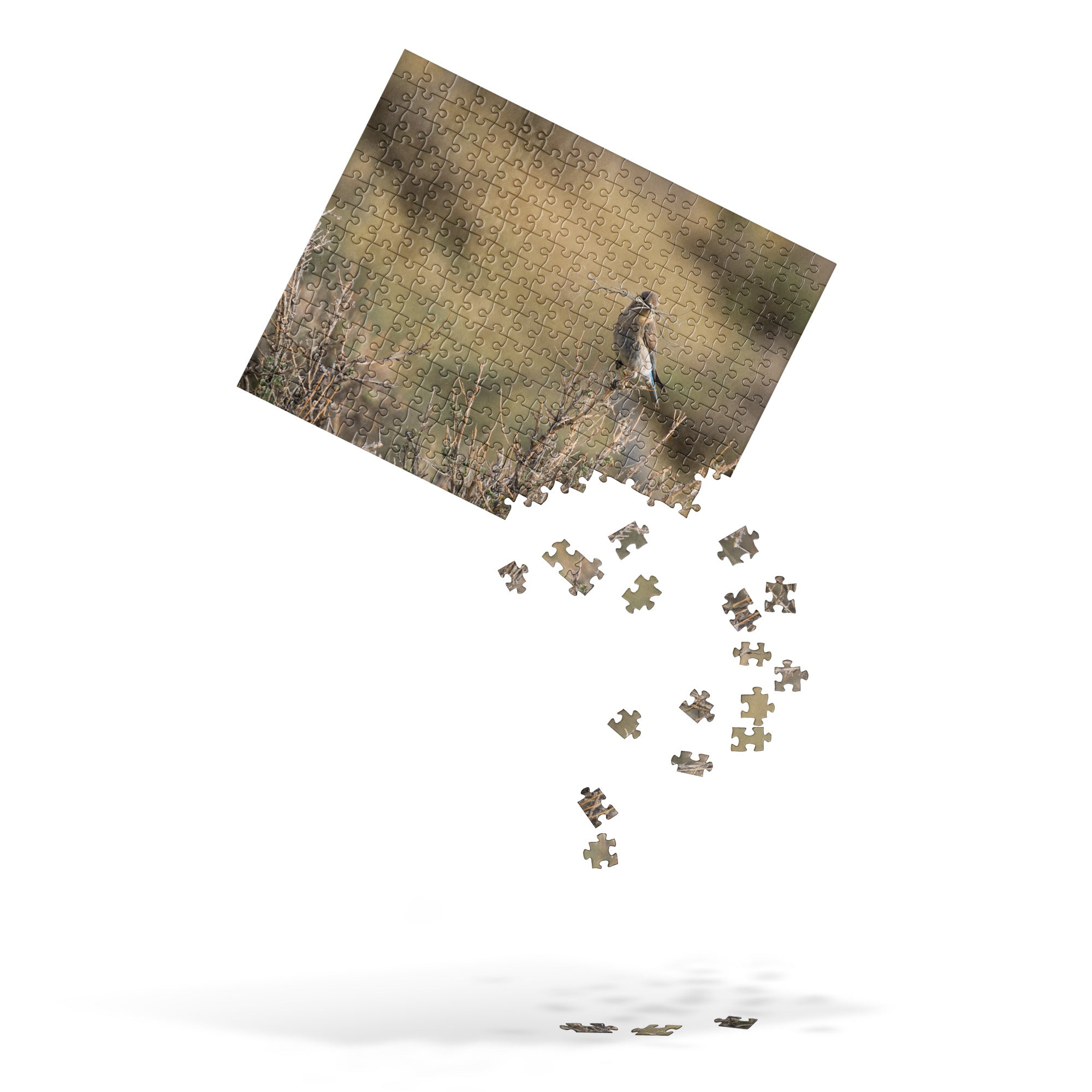 Female Mountain Bluebird Jigsaw puzzle