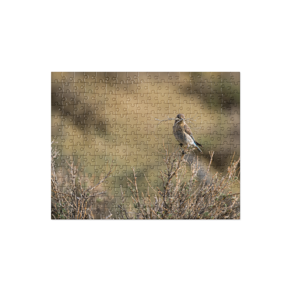 Female Mountain Bluebird Jigsaw puzzle