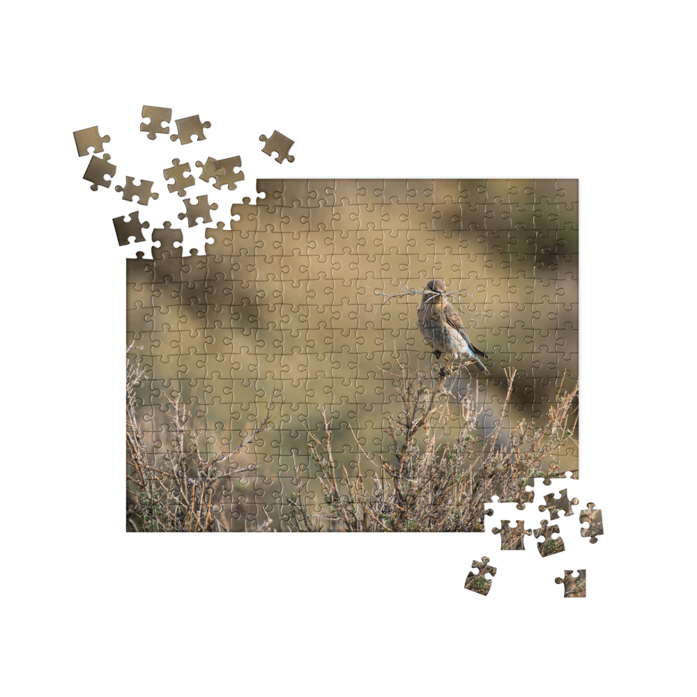 Female Mountain Bluebird Jigsaw puzzle