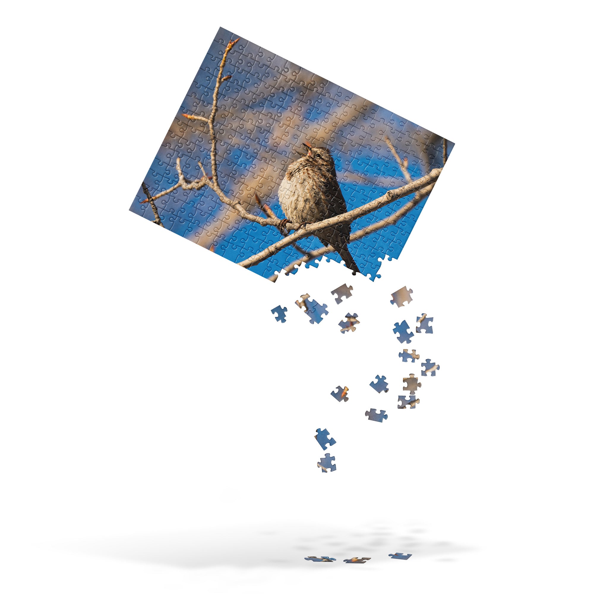 Song Sparrow Jigsaw puzzle