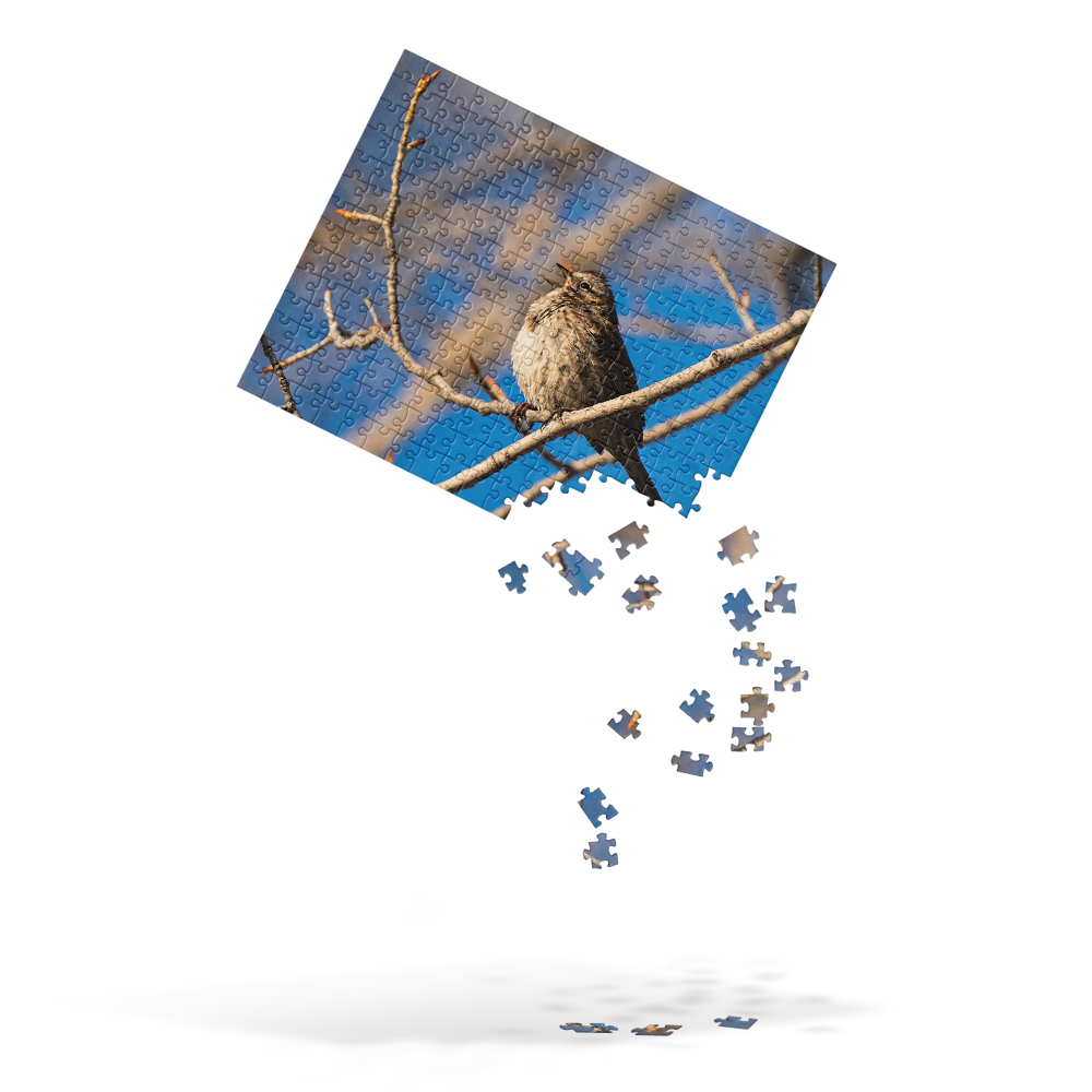 Song Sparrow Jigsaw puzzle