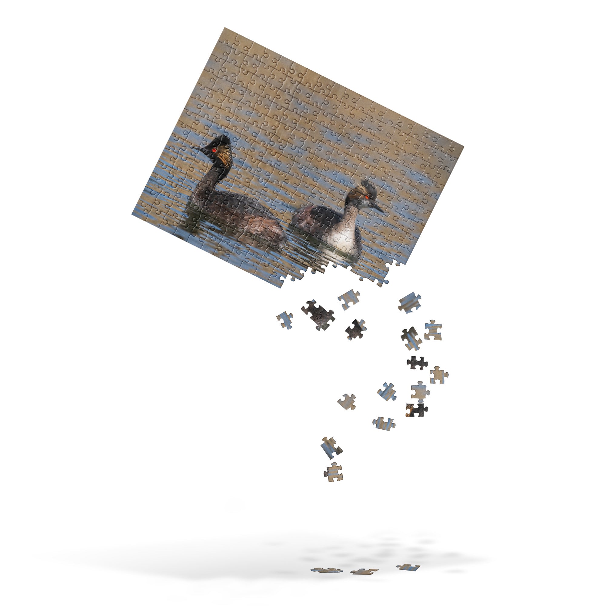 Eered Grebe Jigsaw puzzle