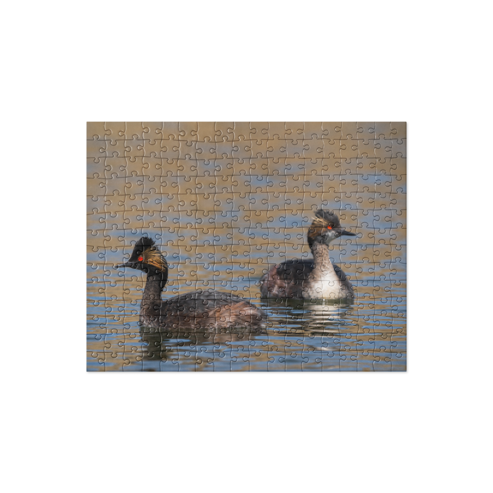 Eered Grebe Jigsaw puzzle