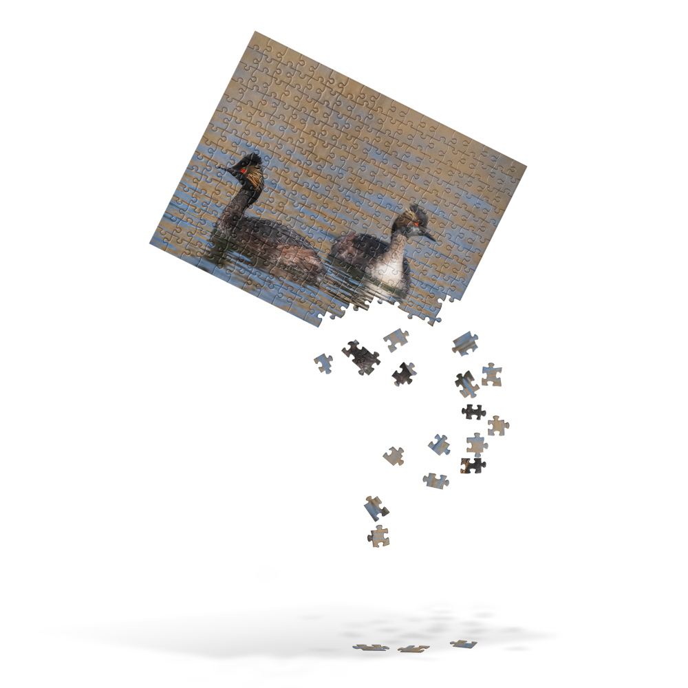 Eered Grebe Jigsaw puzzle