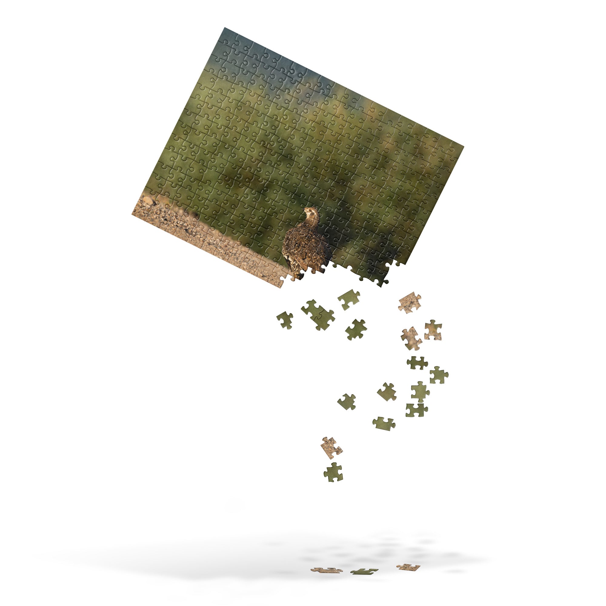 Sage Grouse Jigsaw puzzle
