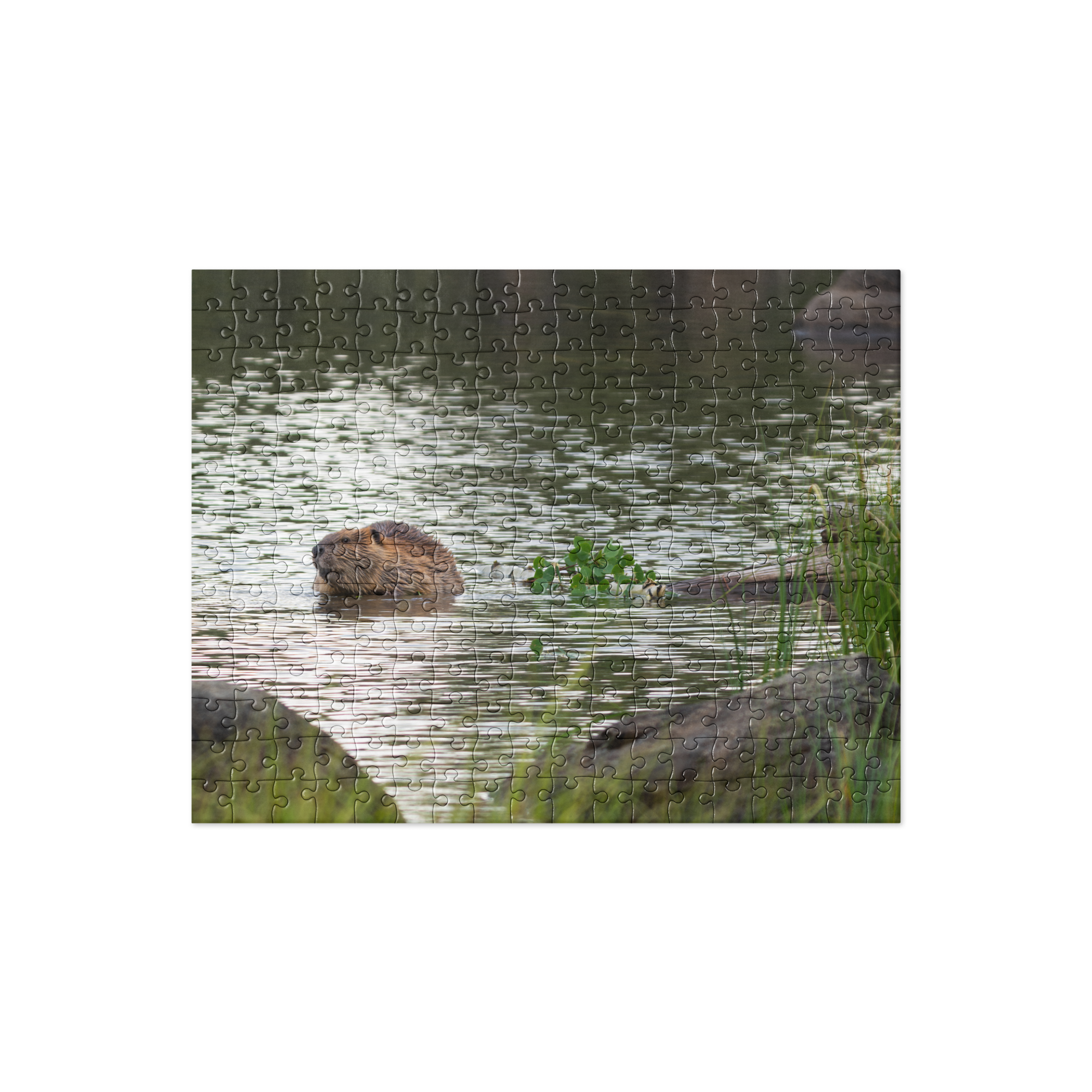 Beaver Jigsaw puzzle