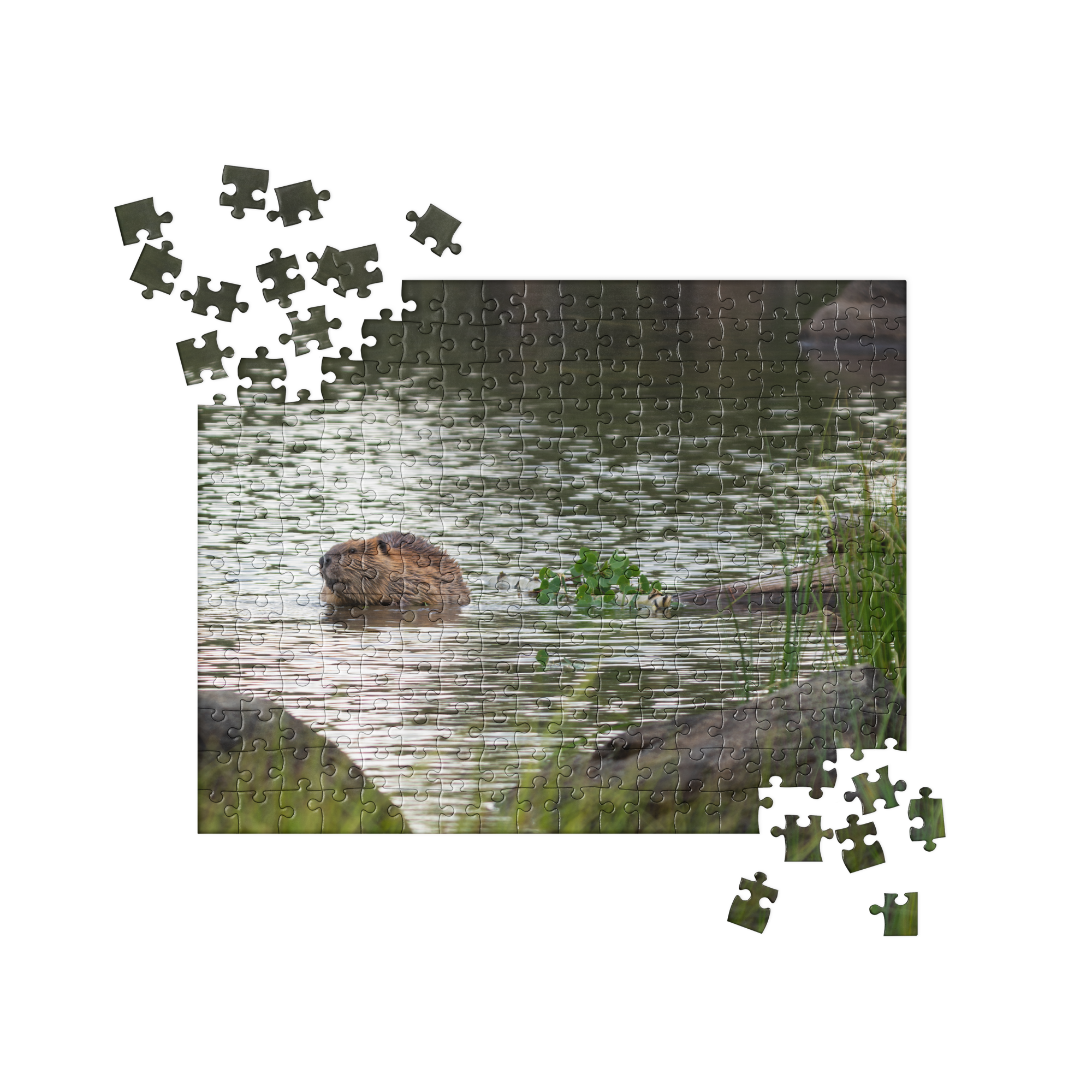 Beaver Jigsaw puzzle