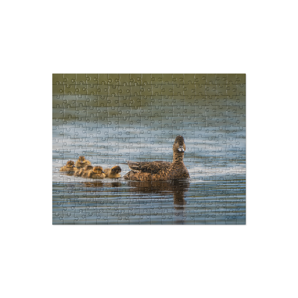 Duck Family Jigsaw puzzle