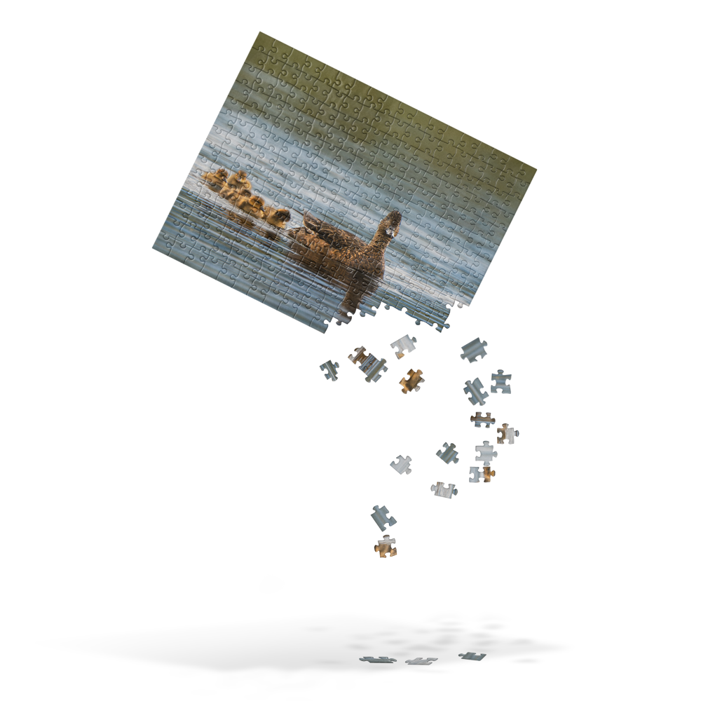 Duck Family Jigsaw puzzle