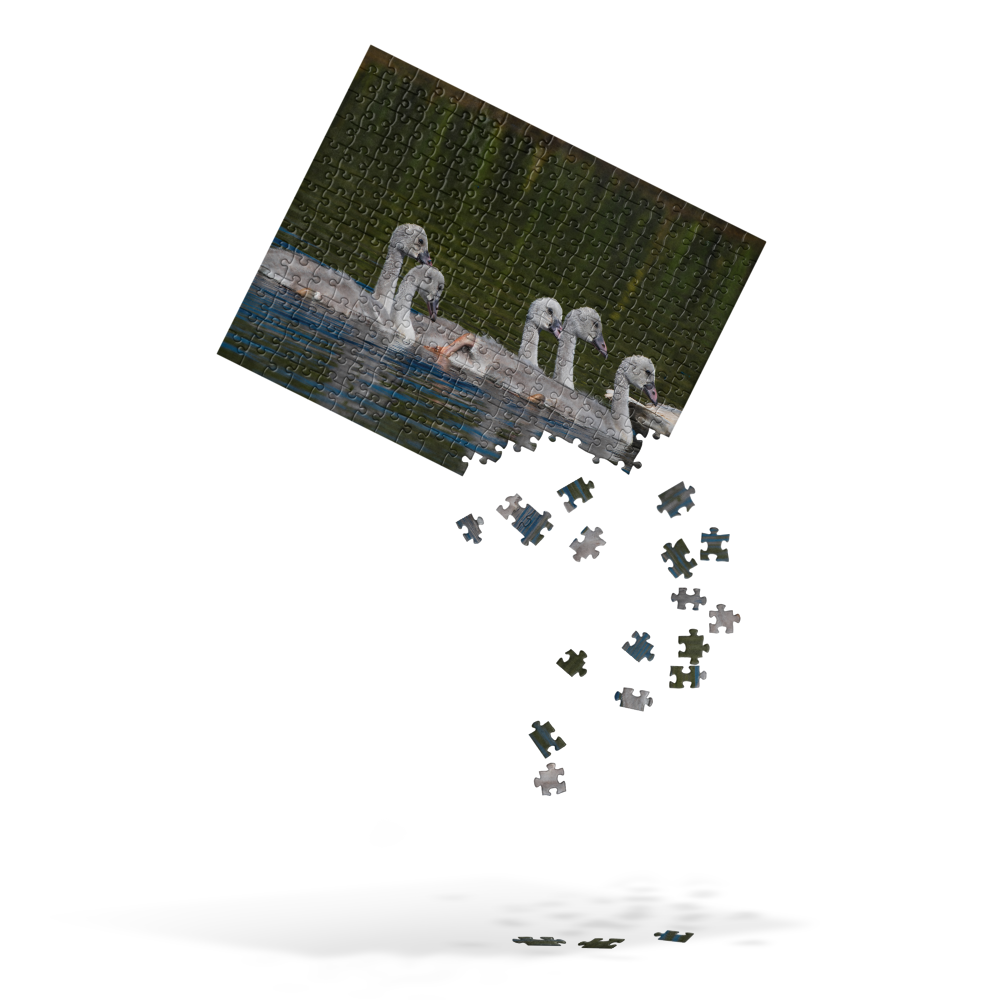 Baby Swans Jigsaw puzzle