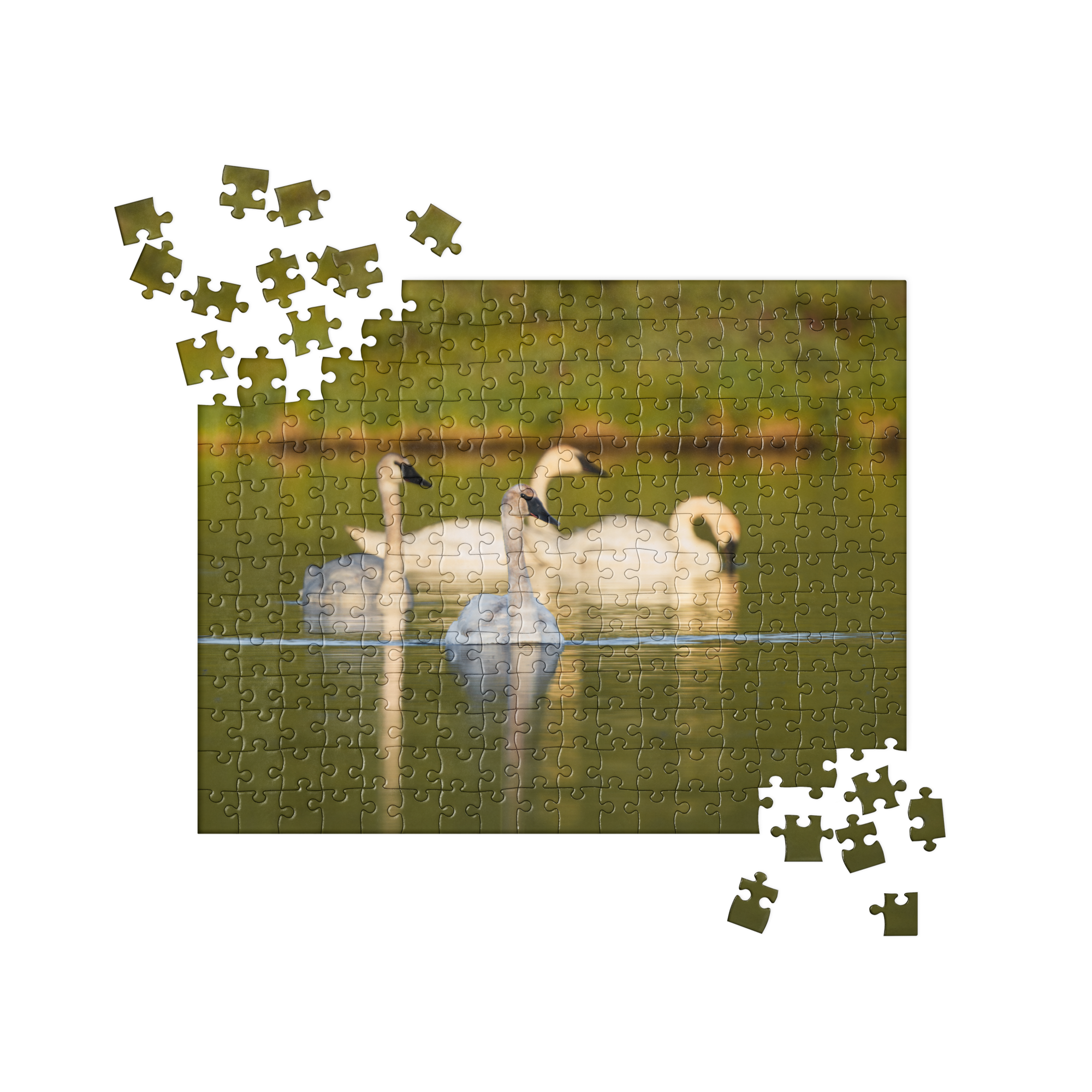 Swans Jigsaw puzzle