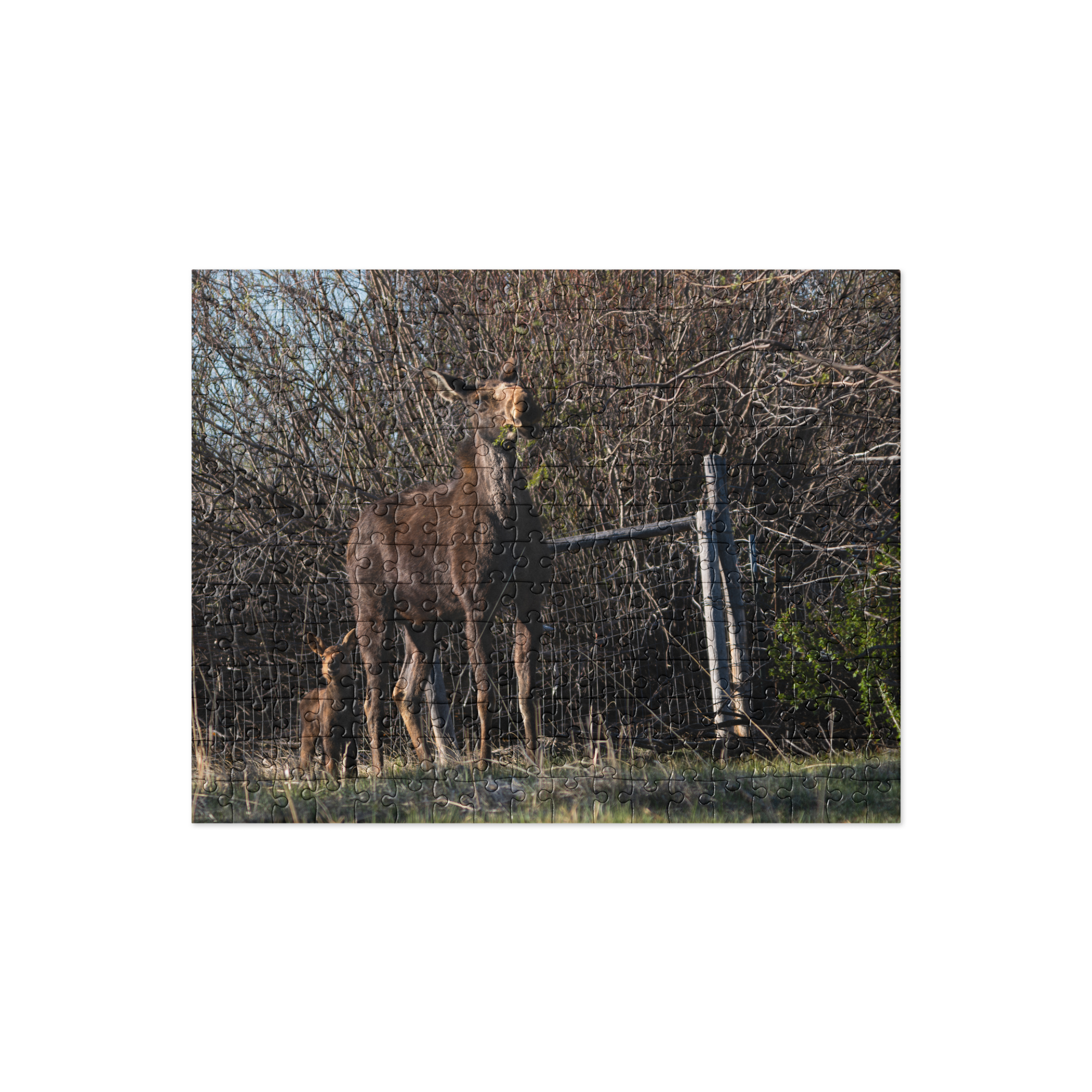 Mamma Moose with Baby Moose Jigsaw puzzle