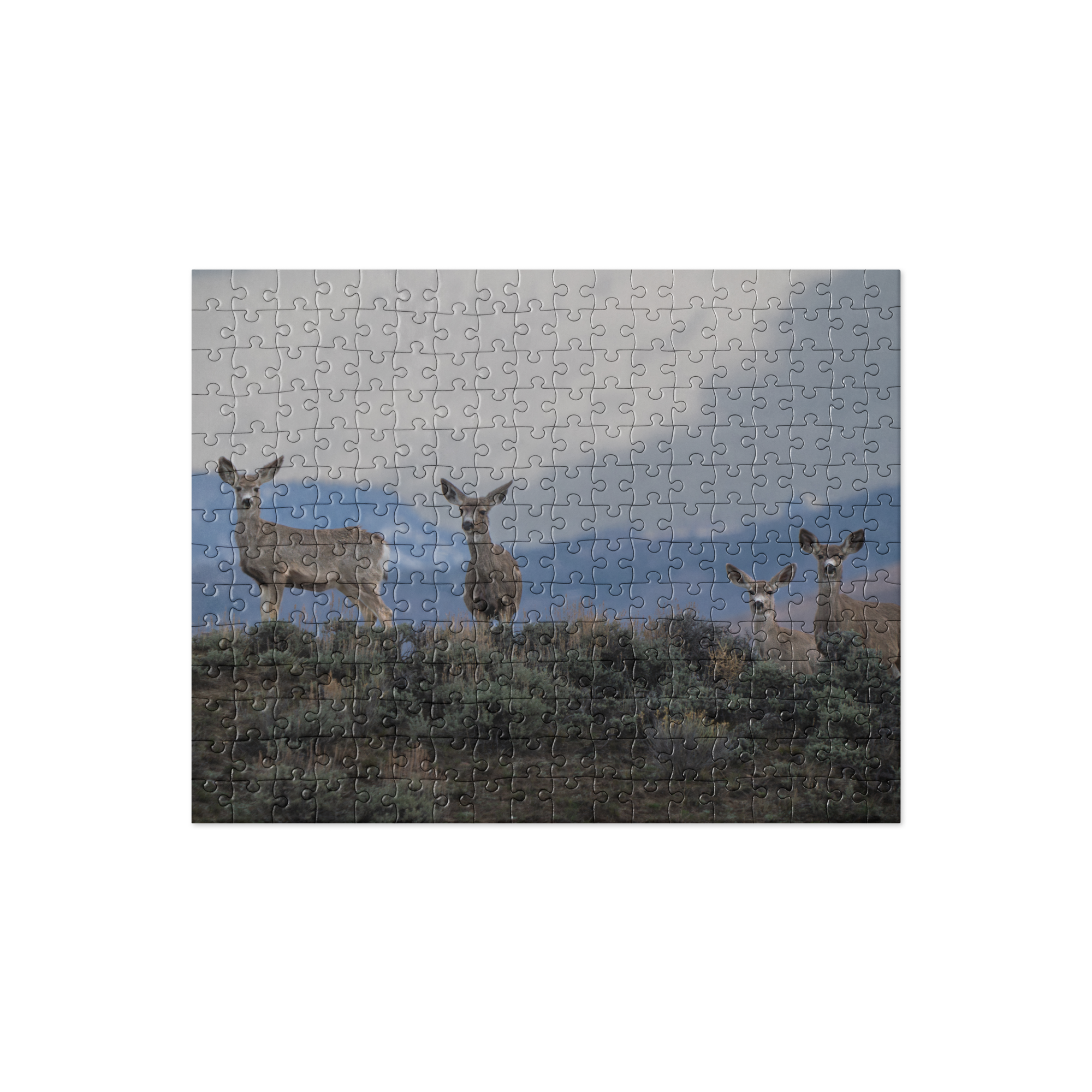 Mule Deer Jigsaw puzzle