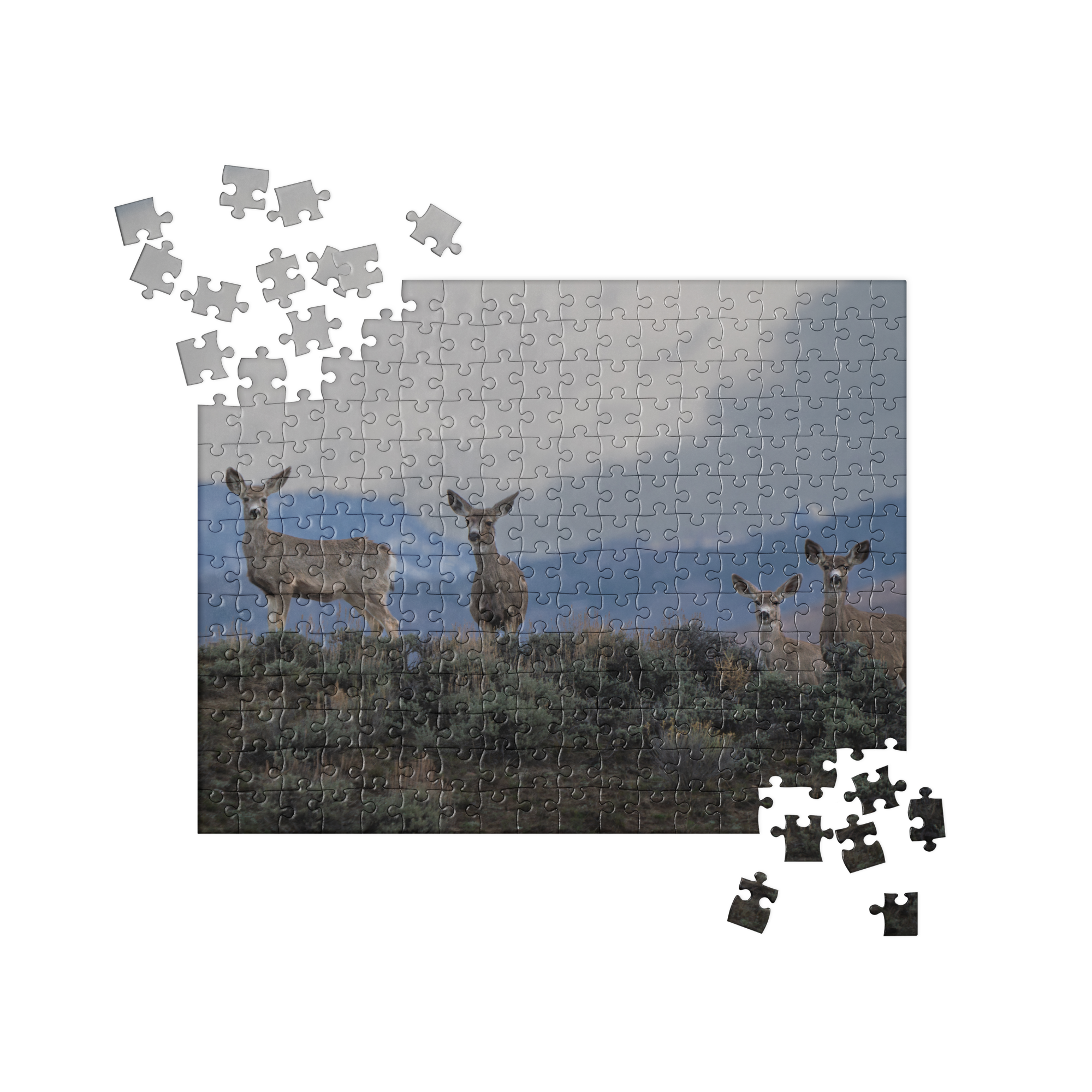 Mule Deer Jigsaw puzzle