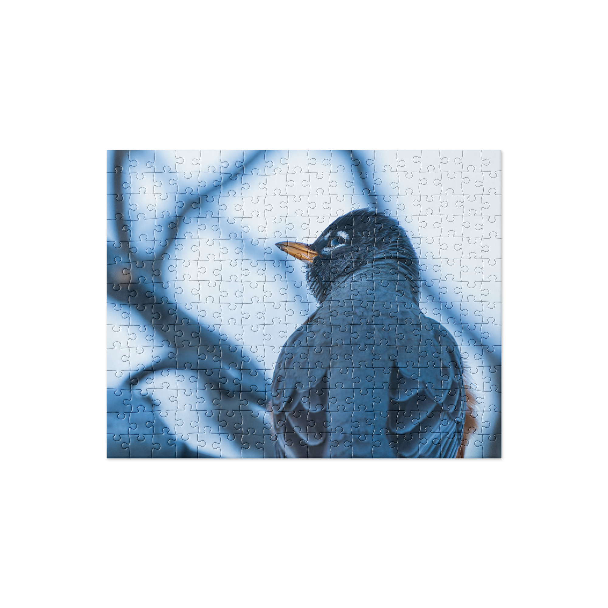 Robin Jigsaw puzzle