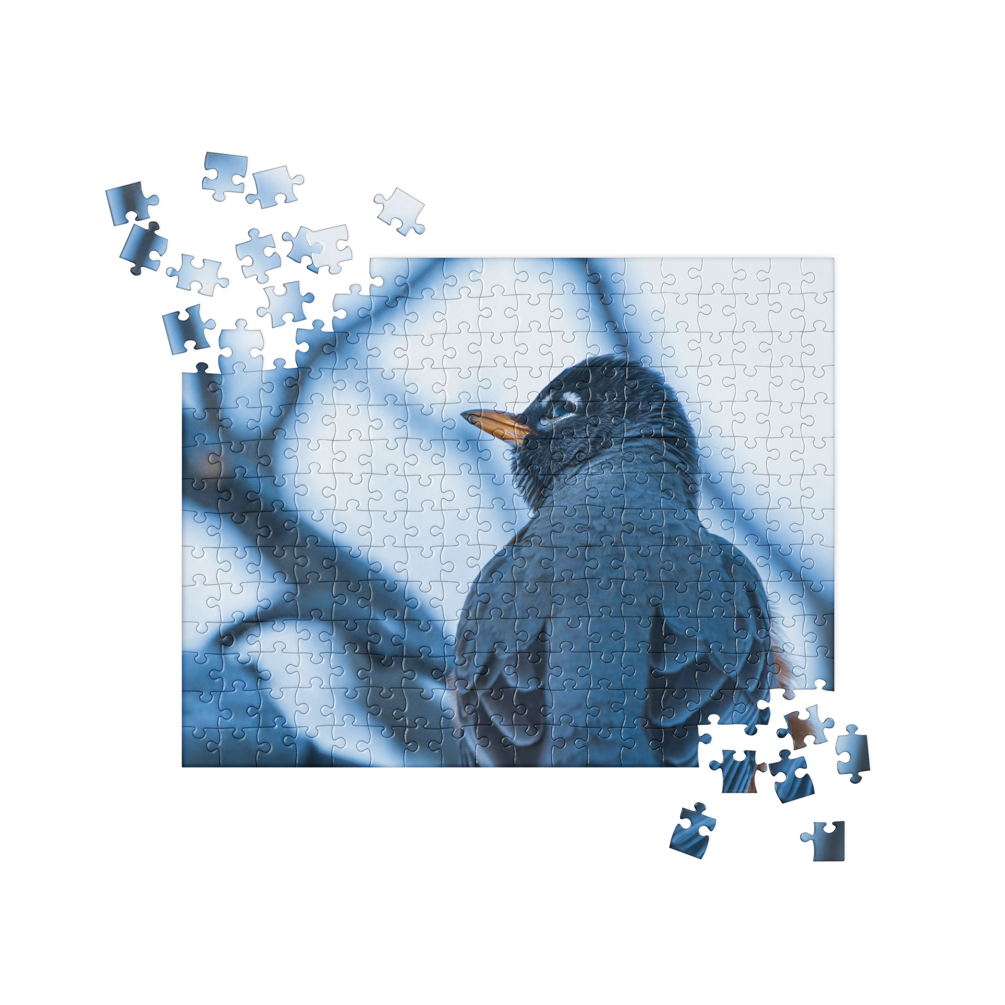 Robin Jigsaw puzzle