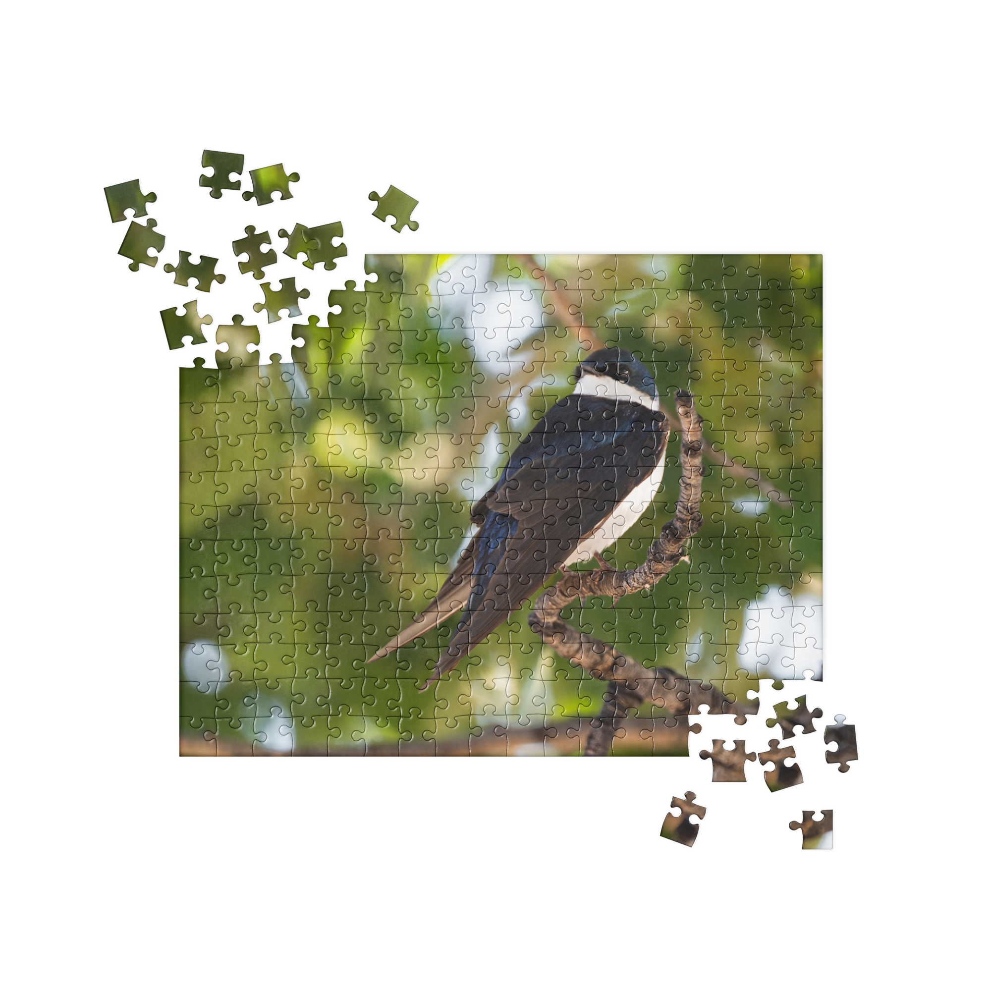 Tree Swallow Jigsaw puzzle