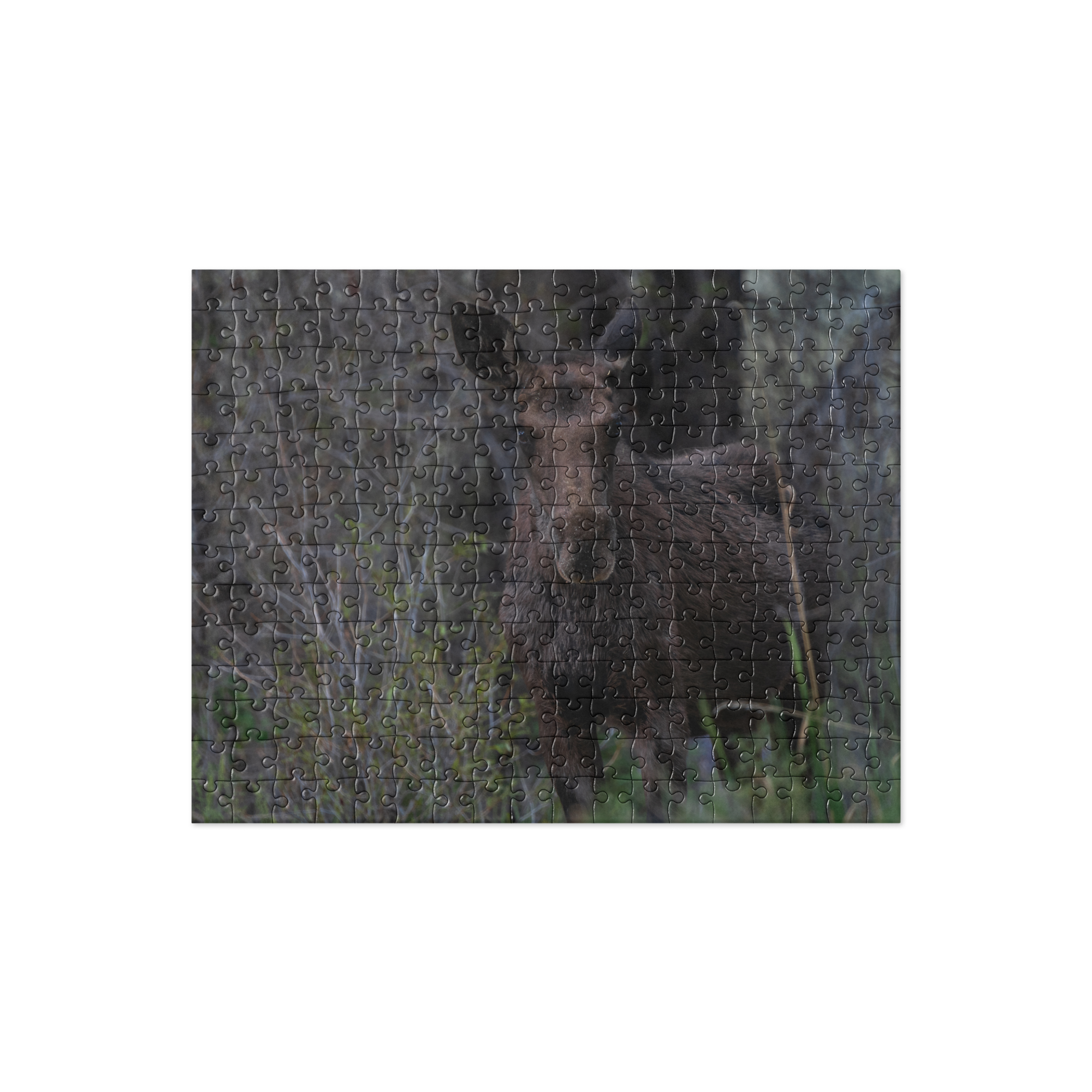 Moose Jigsaw puzzle